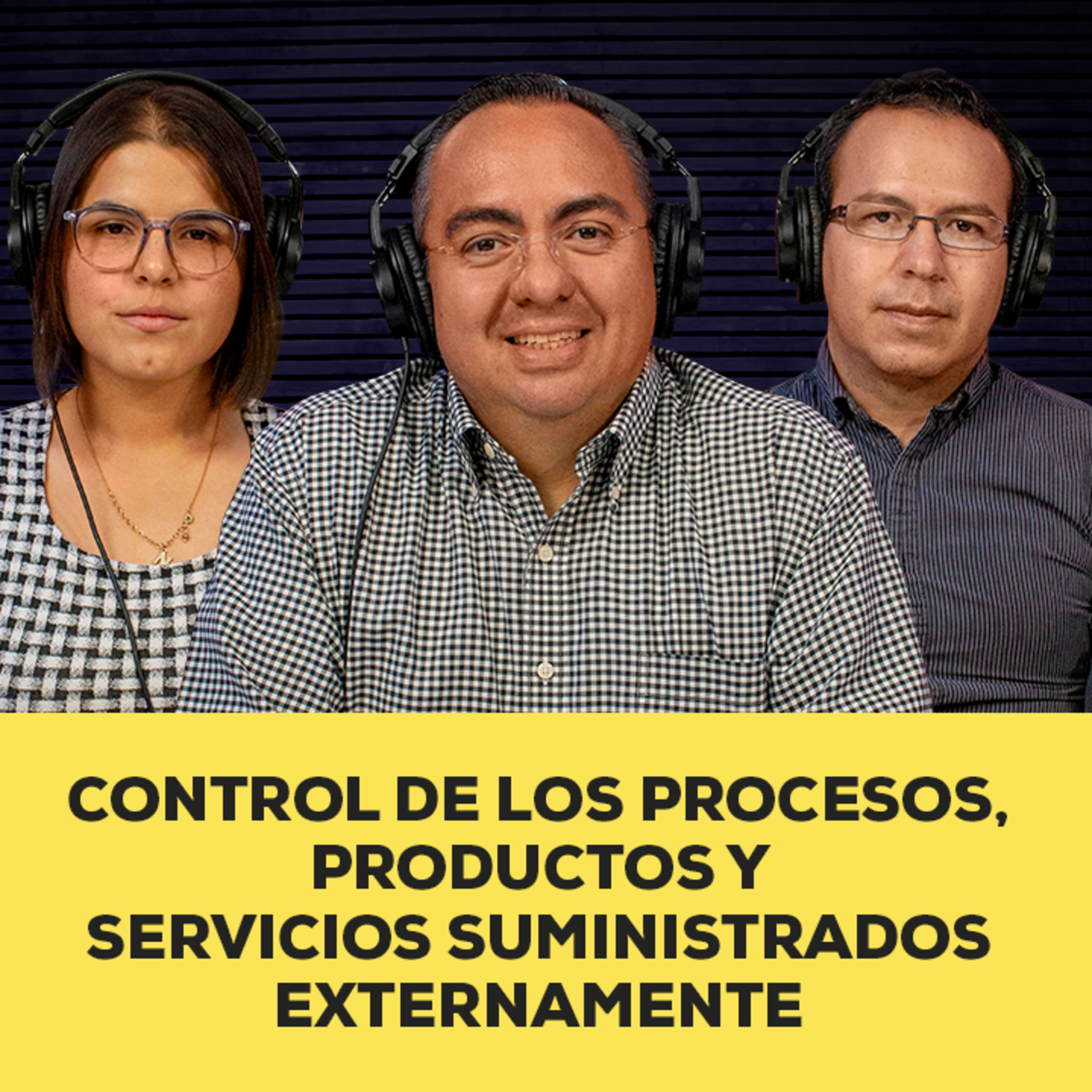 Control de los procesos, productos y servicios suministrados externamente  episode artwork