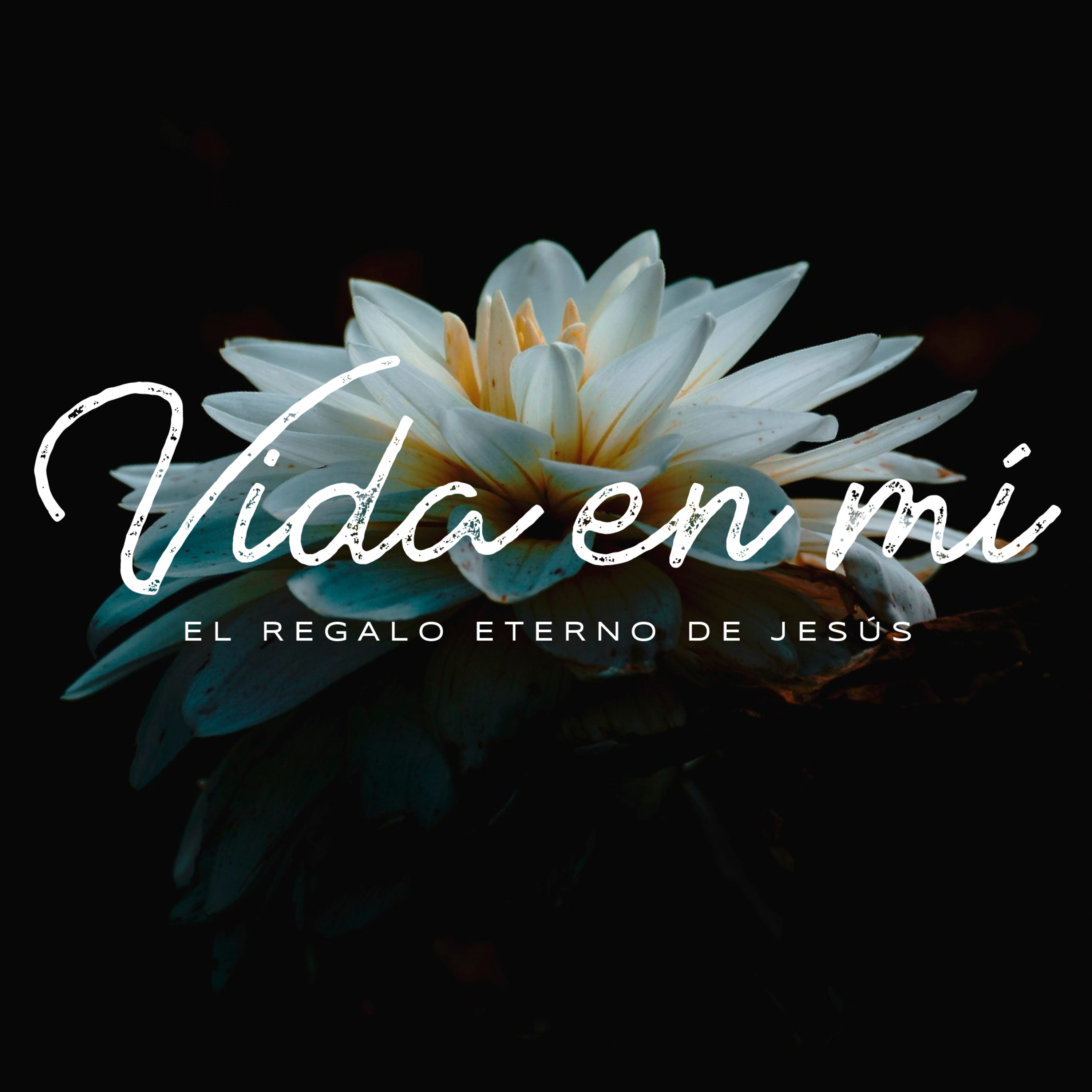 Hacia adentro y hacia afuera - Sebastián De Briones episode artwork