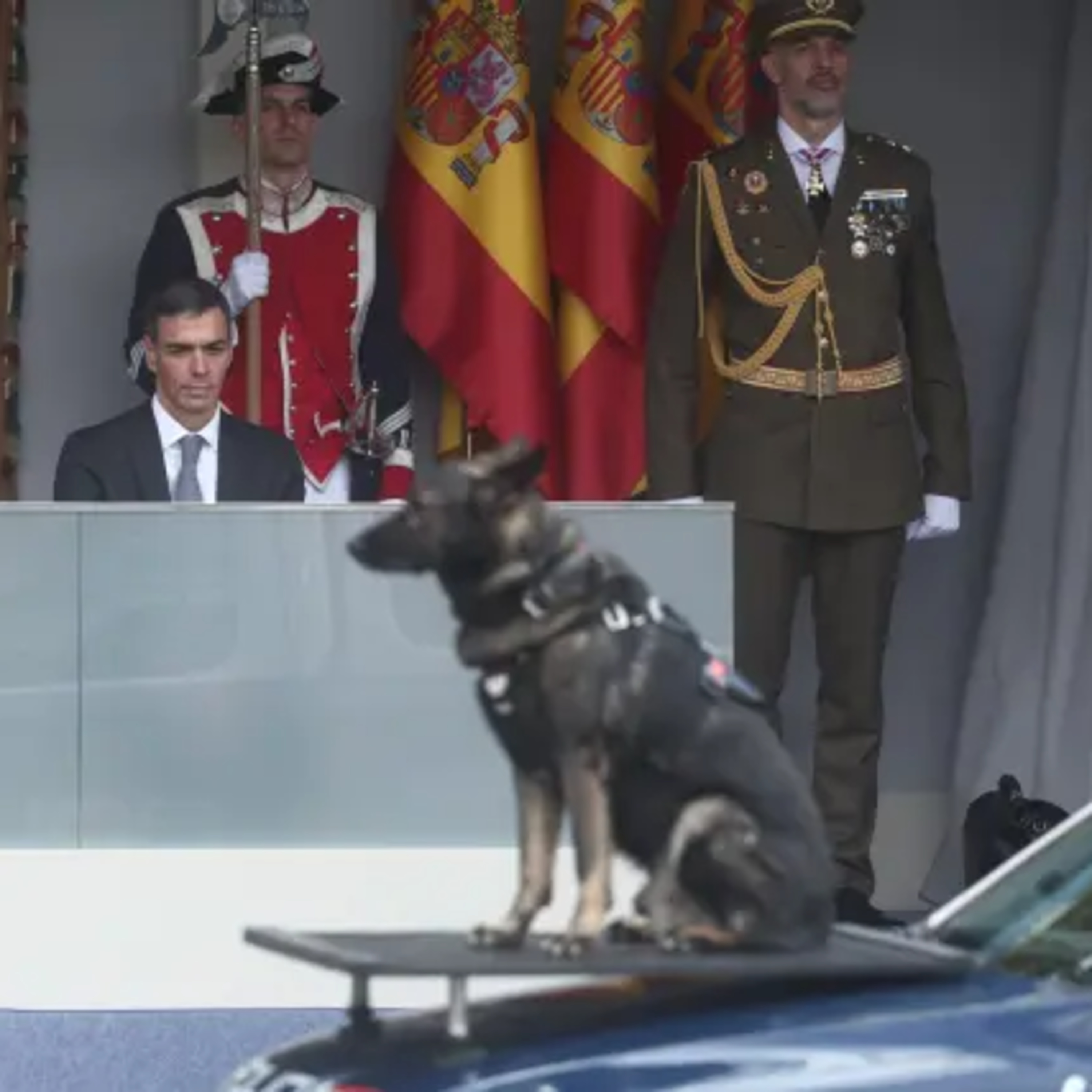 2025 – The Year in Spanish Politics