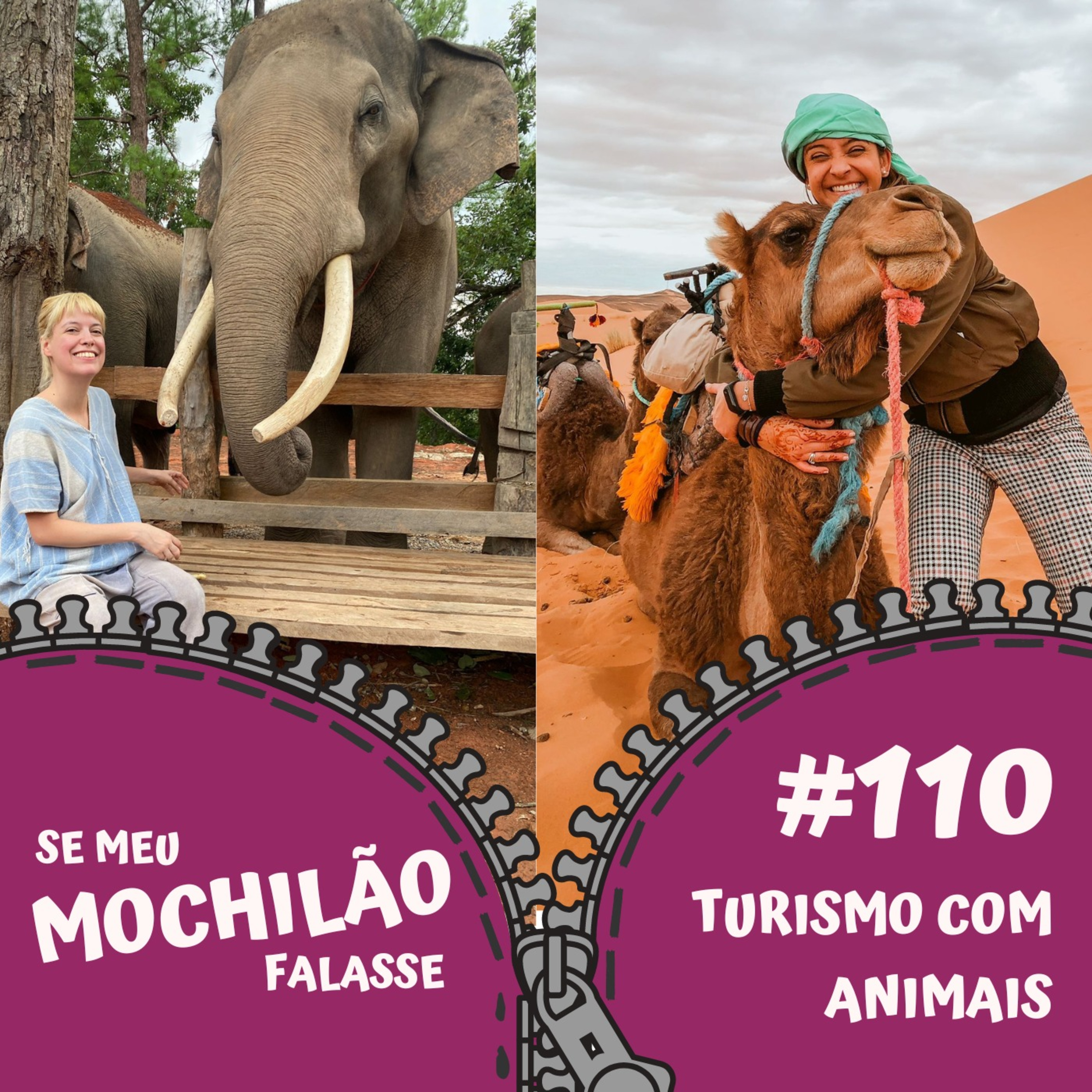 Se Meu Mochilão Falasse