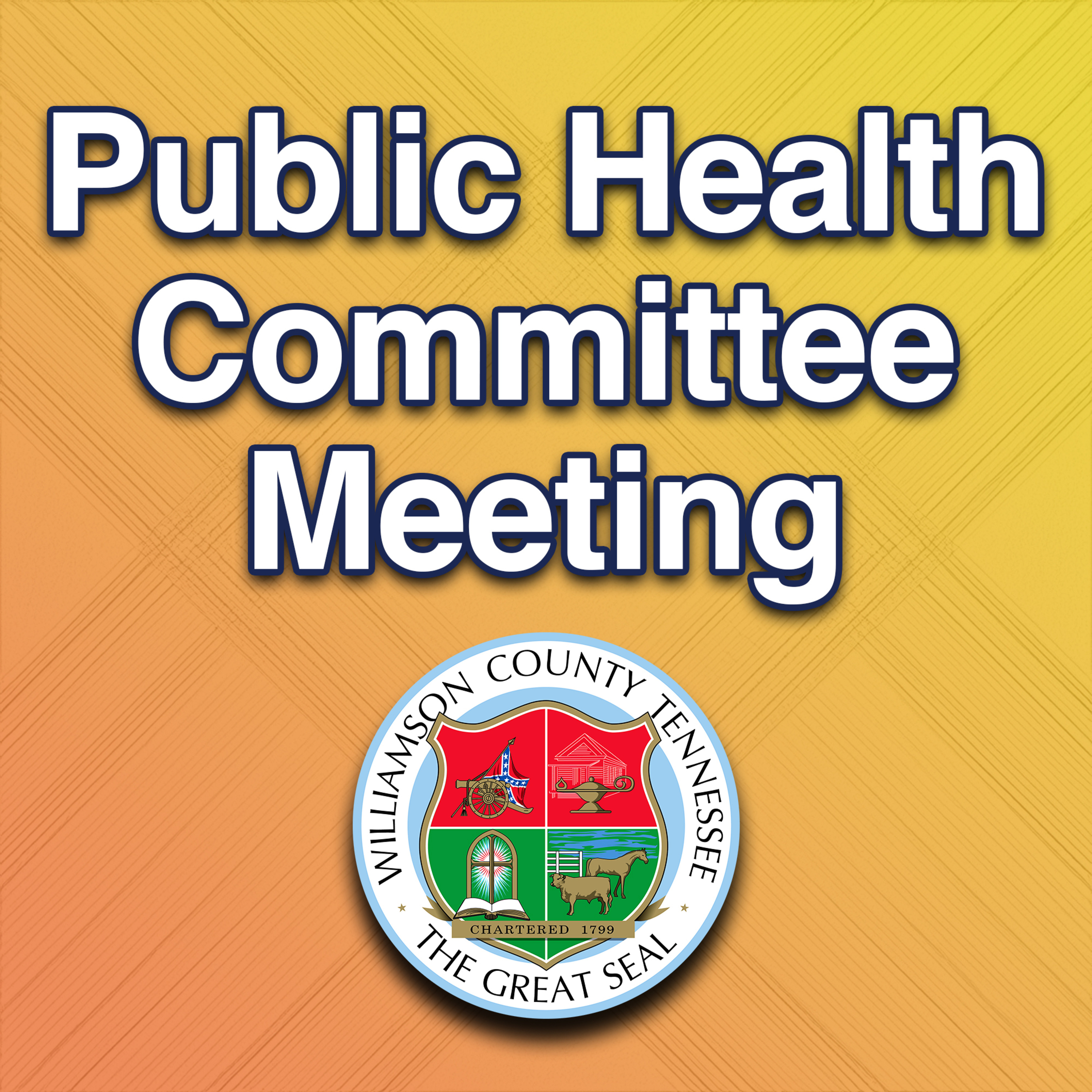 Public Health Committee Meeting - February 5, 2026 episode artwork