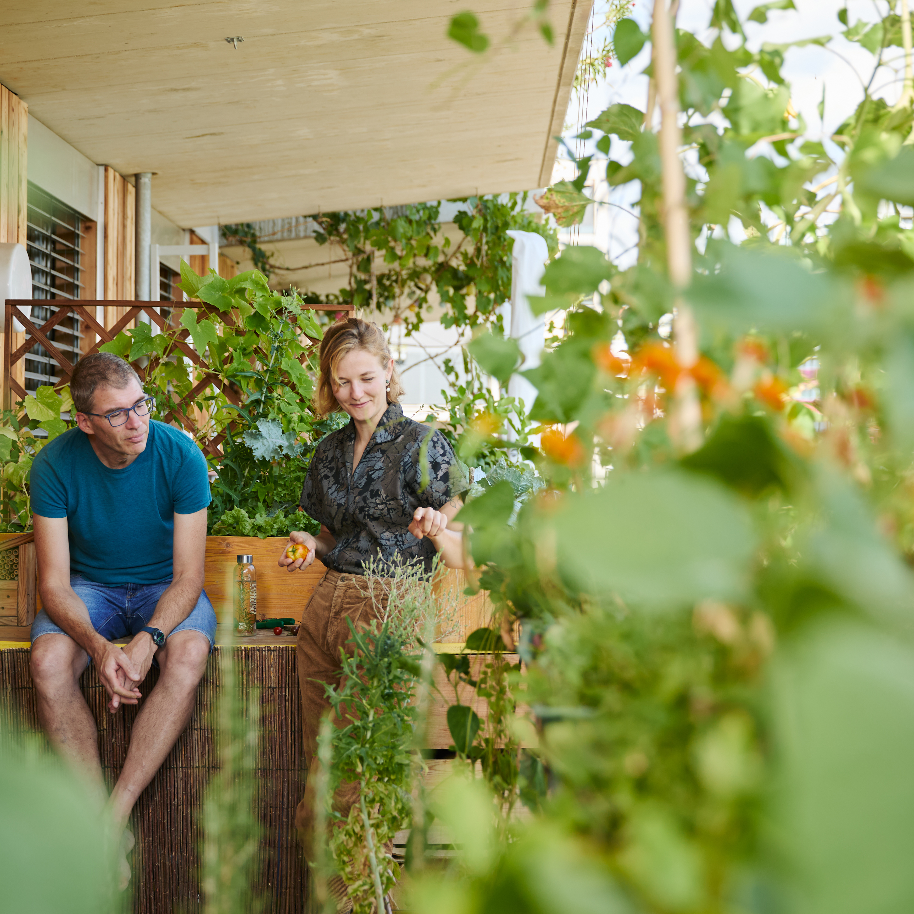 radio klassik Stephansdom