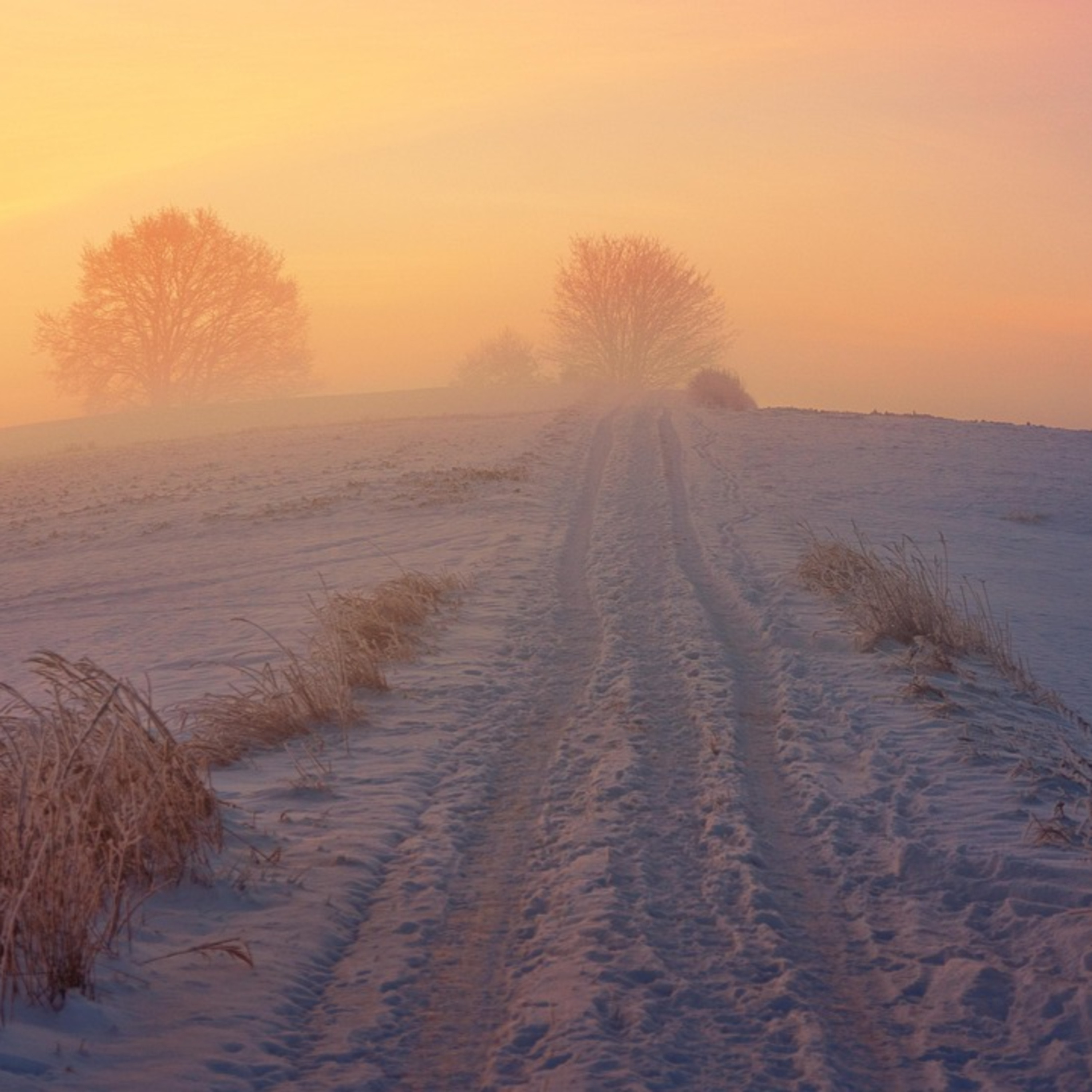 radio klassik Stephansdom