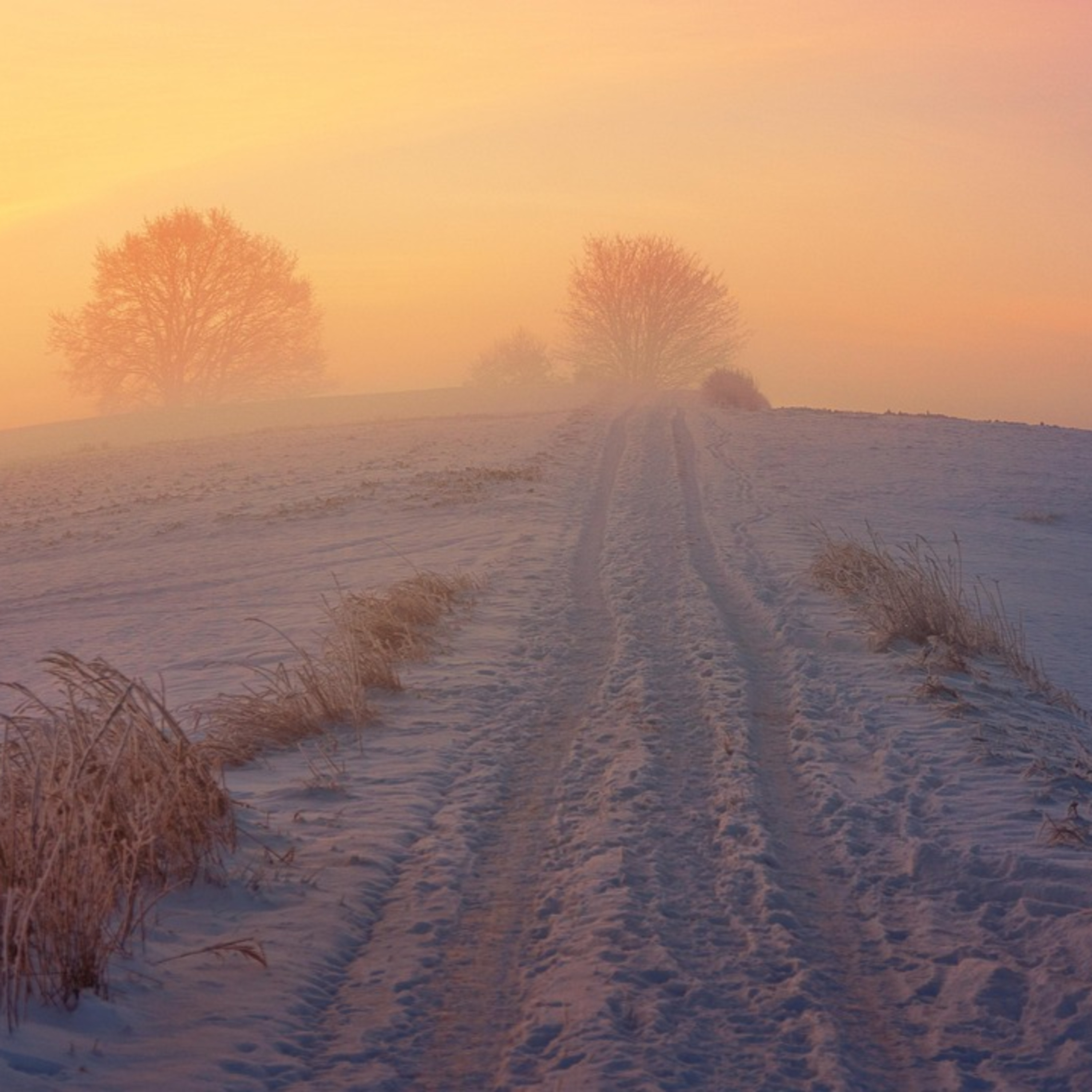 Adventkalender #16 Edith Wolf Perez und Katy Geertsen Adventkalender #16 Edith Wolf Perez und Katy Geertsen