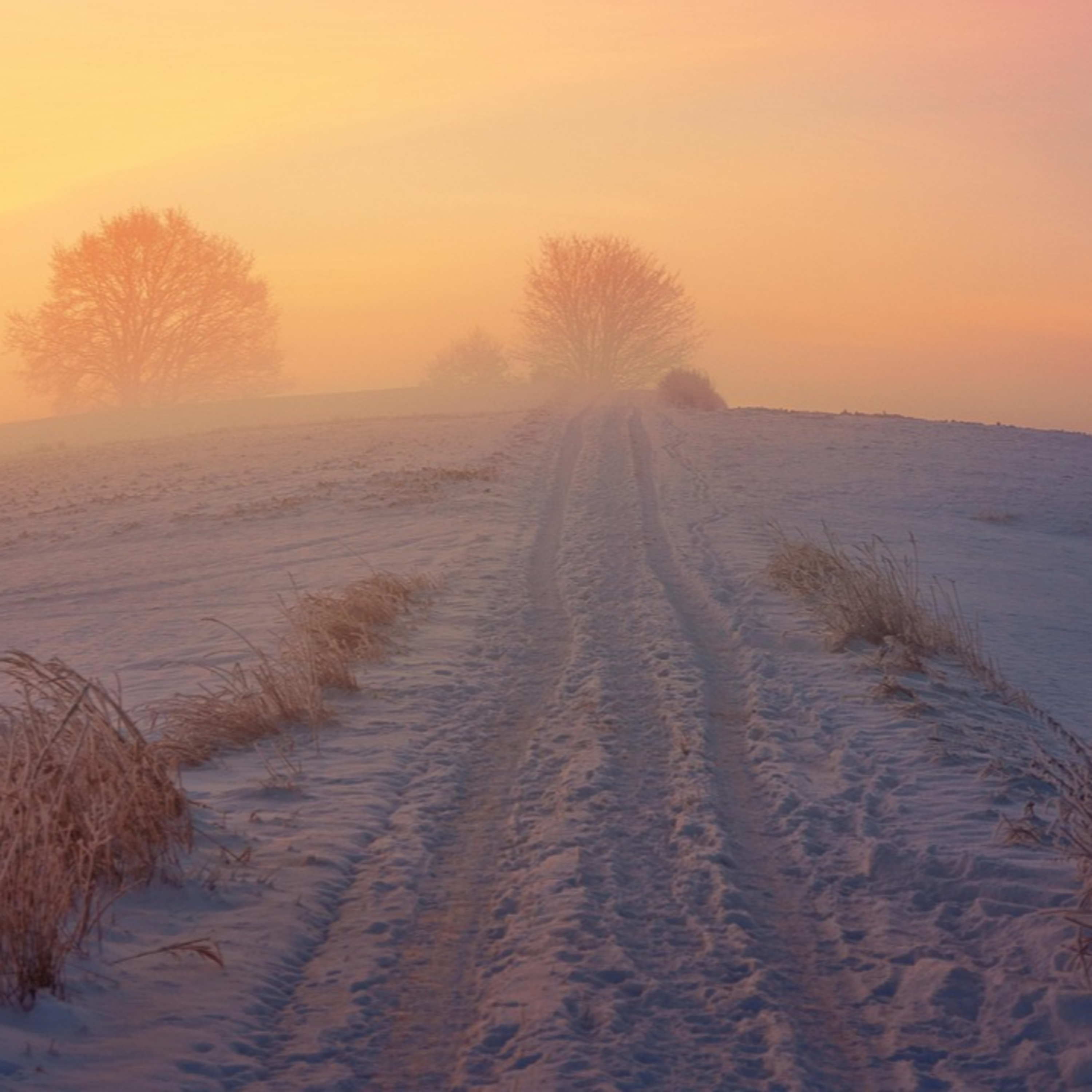 radio klassik Stephansdom