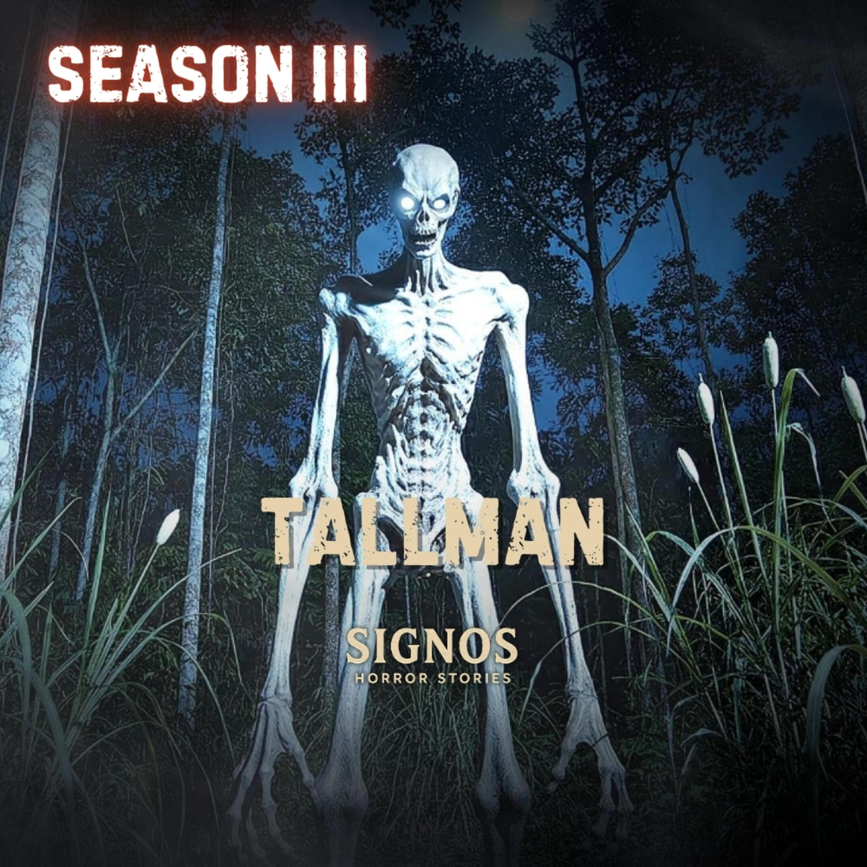 S3 EP28 - TALLMAN | ANG MALIGNO SA GILID NG DAAN episode artwork