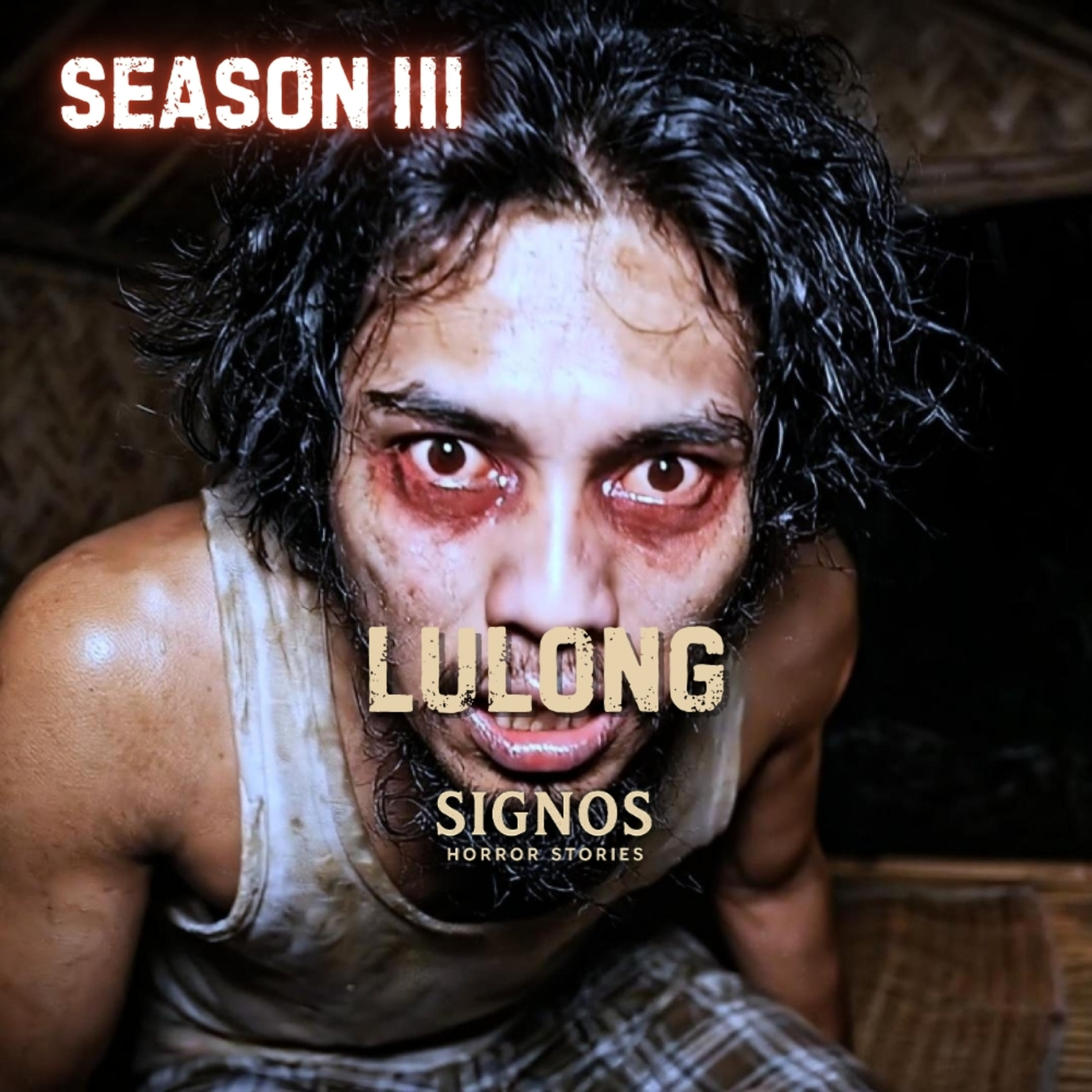 S3 EP29 - LULONG | ANG BIGLAANG PAGKAWALA NG AMING AMA episode artwork