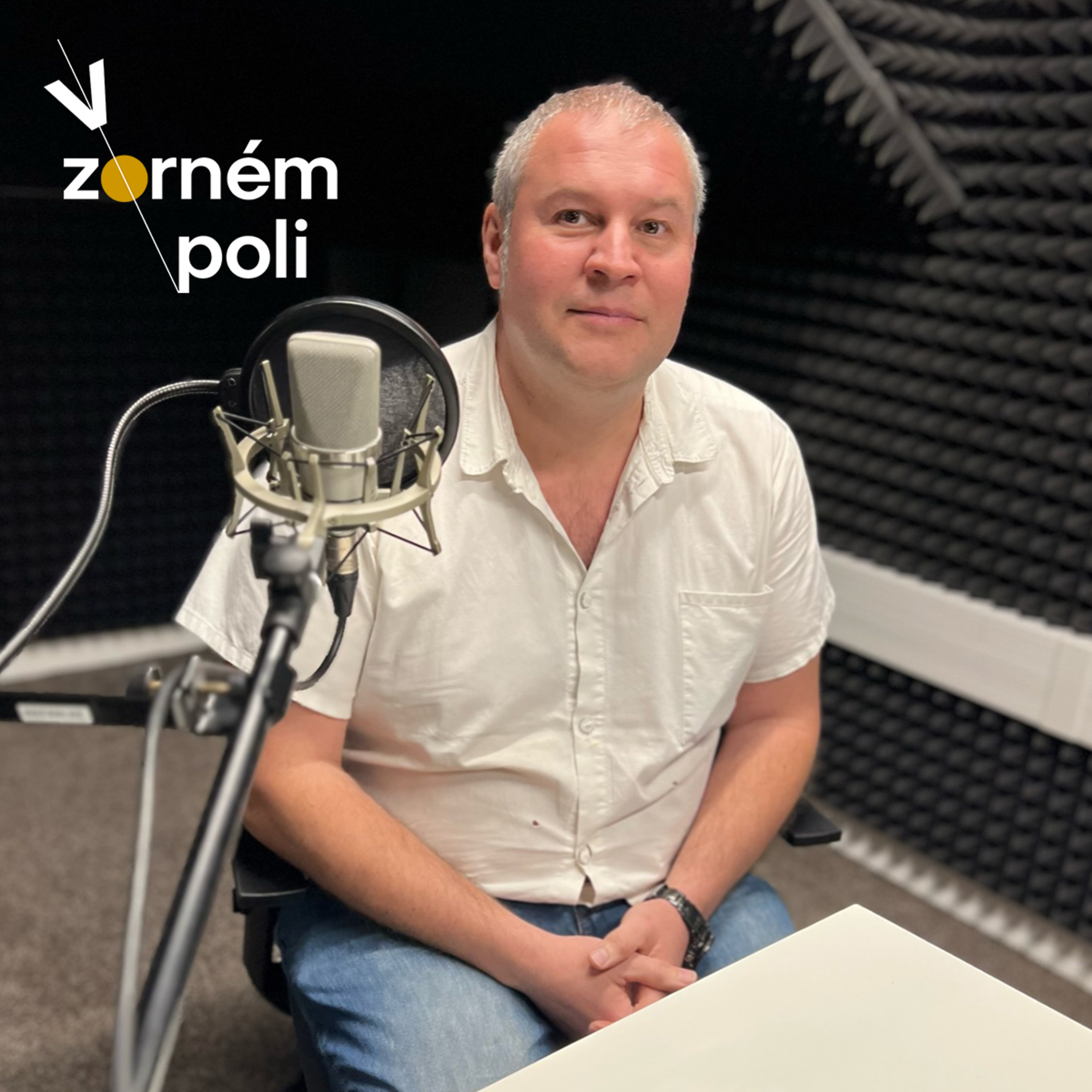 V zorném poli
