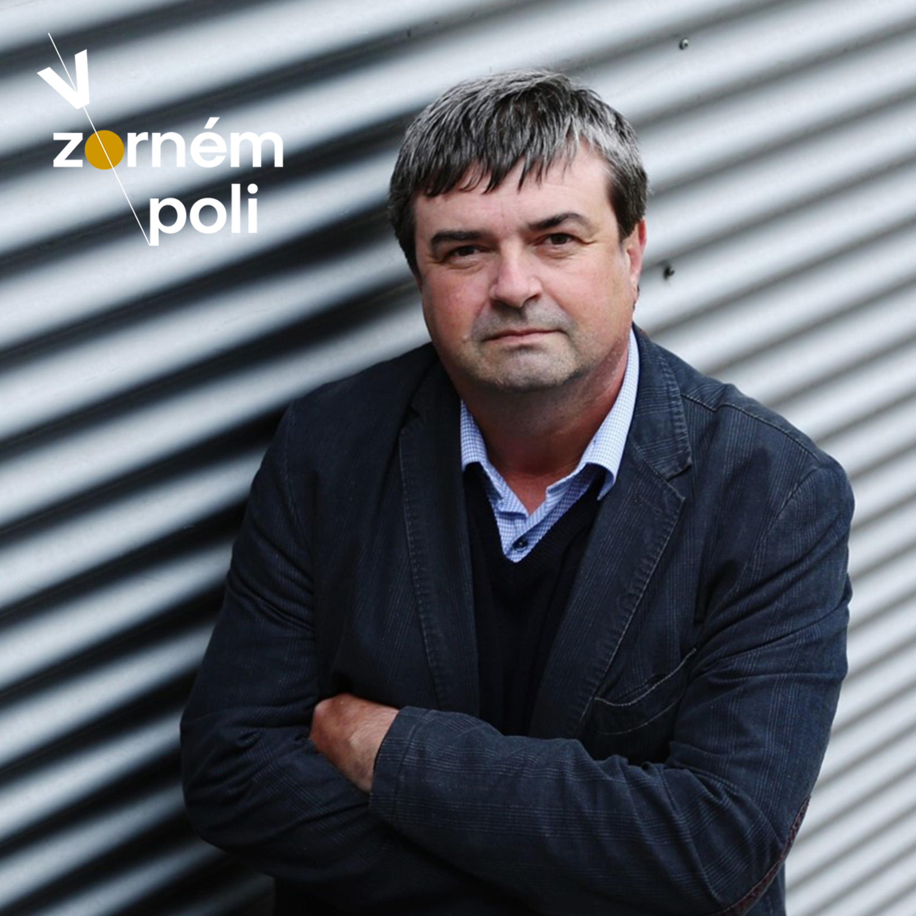 V zorném poli