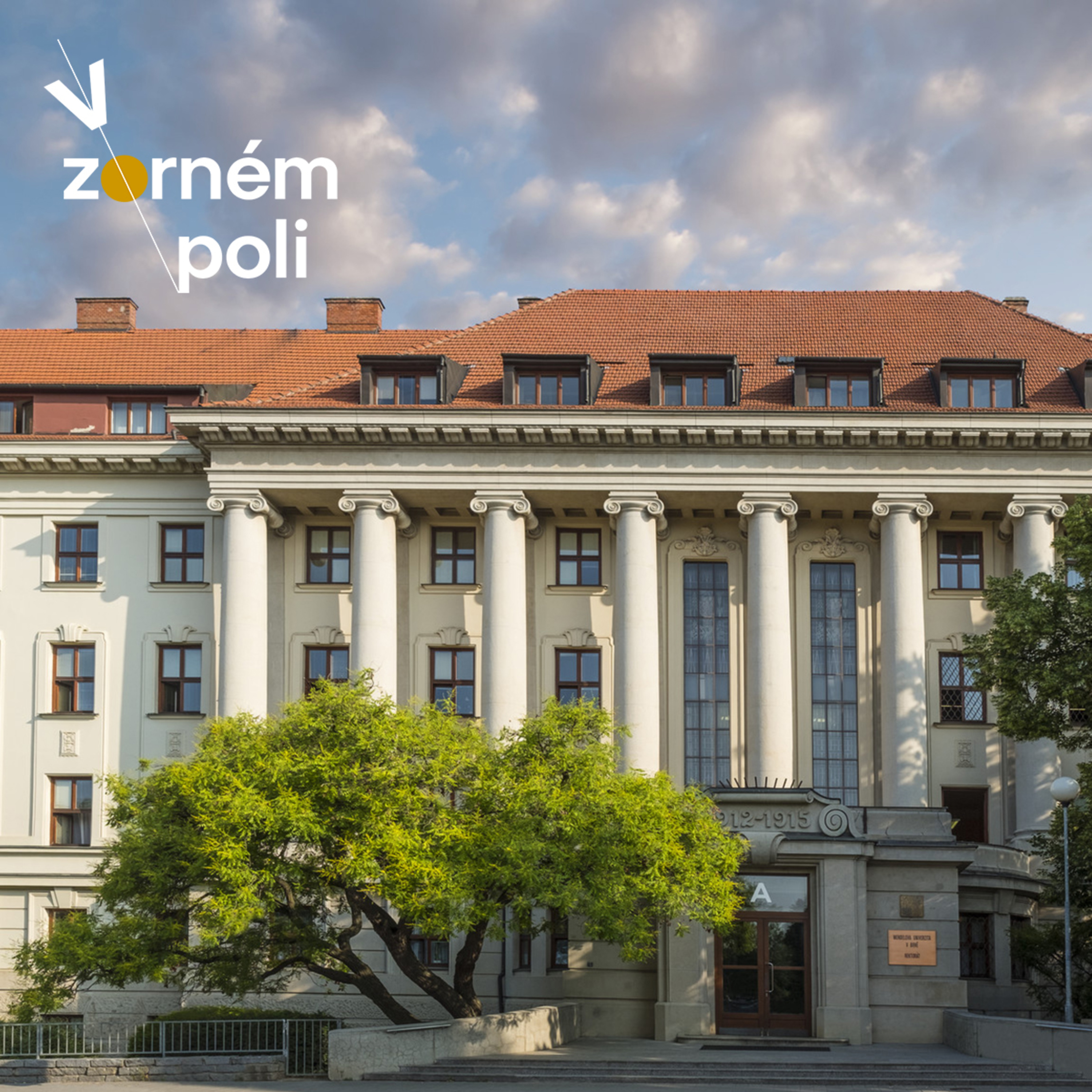 V zorném poli
