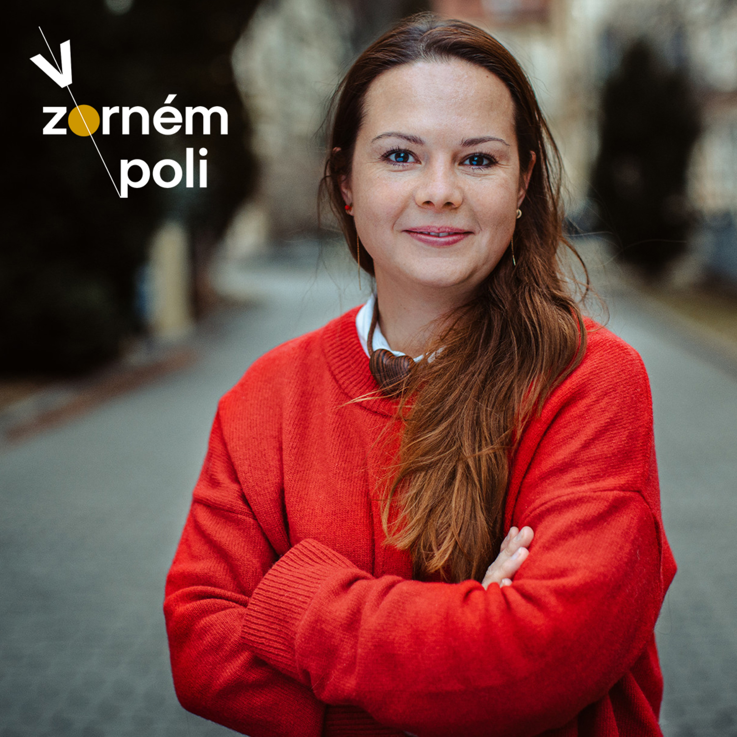 V zorném poli