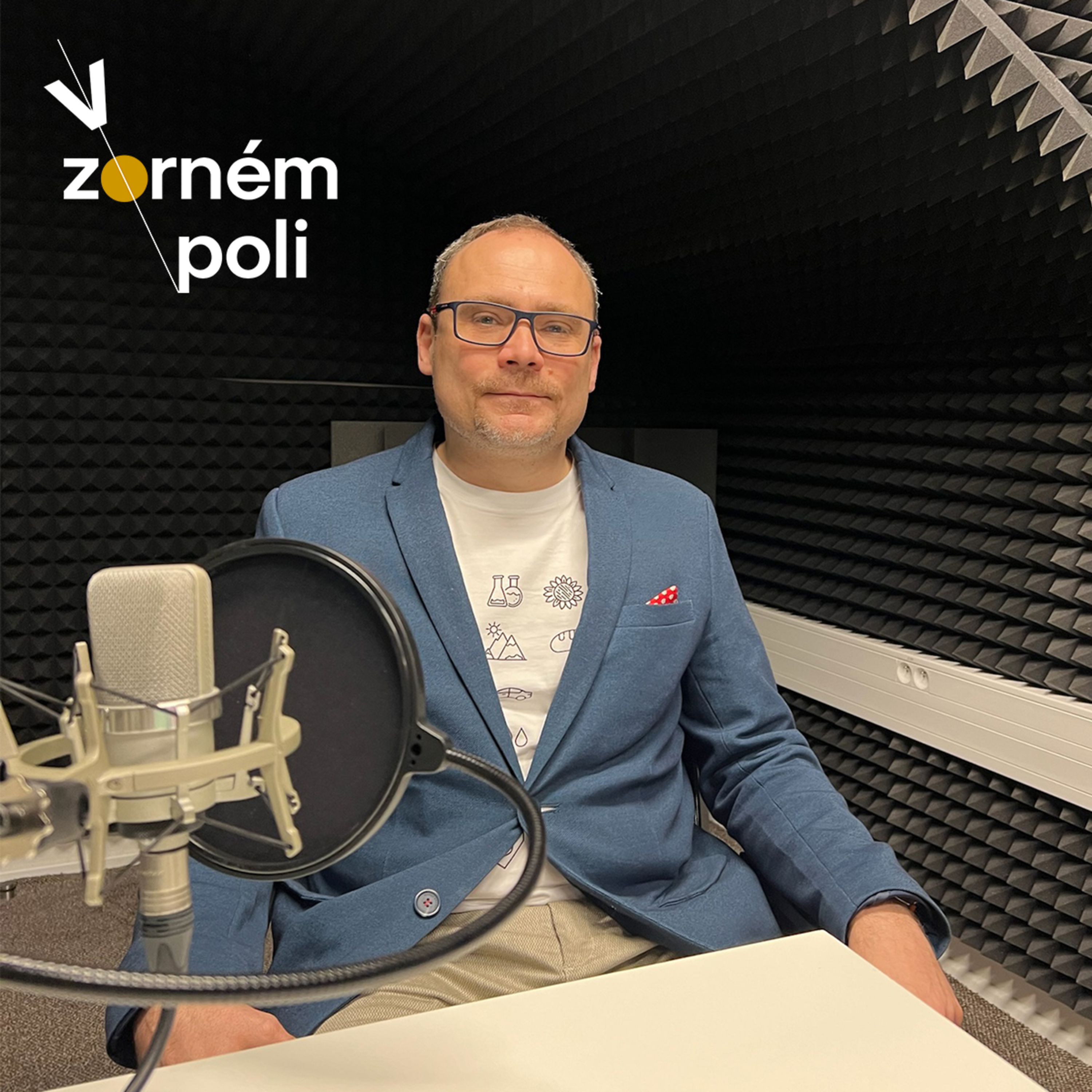 V zorném poli
