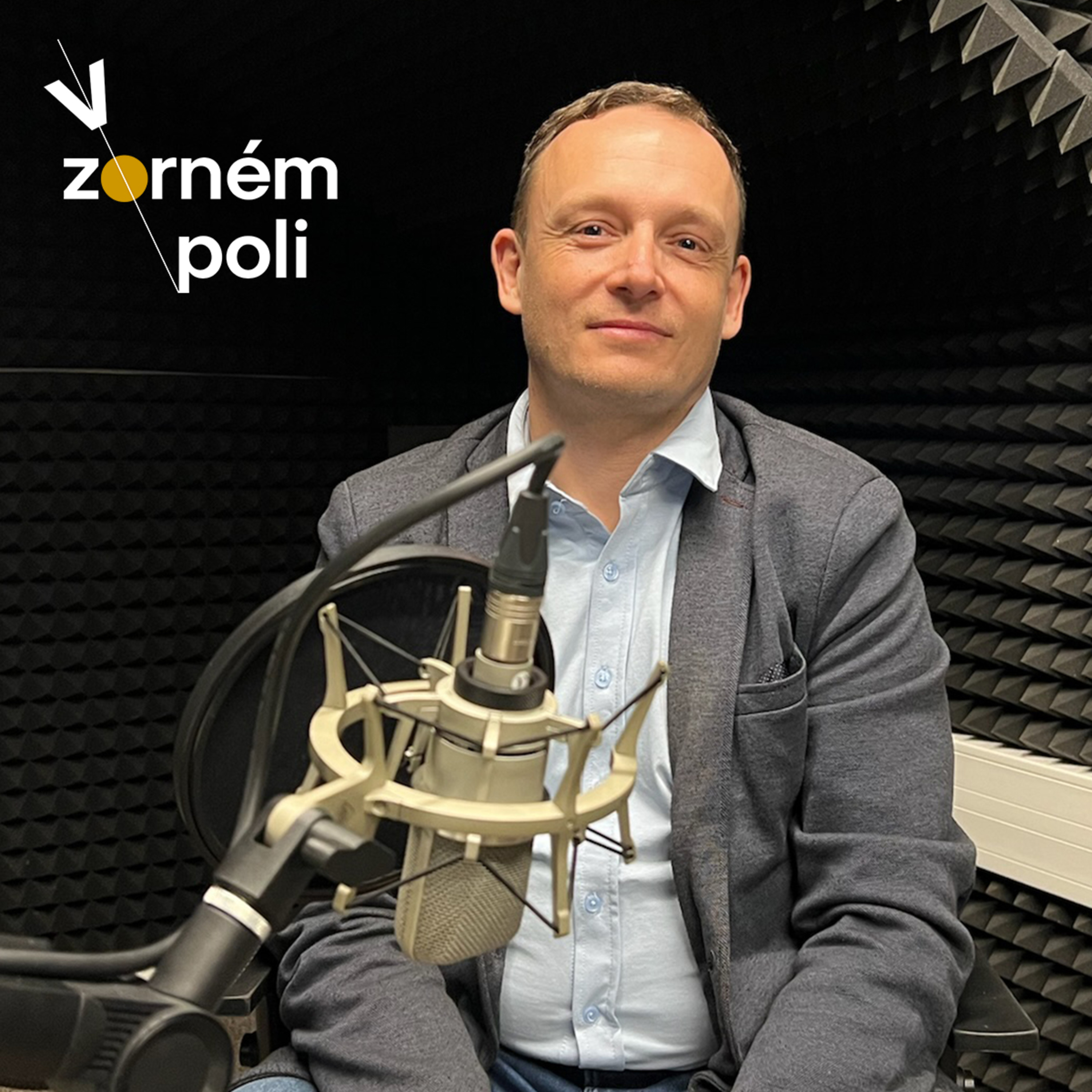 V zorném poli