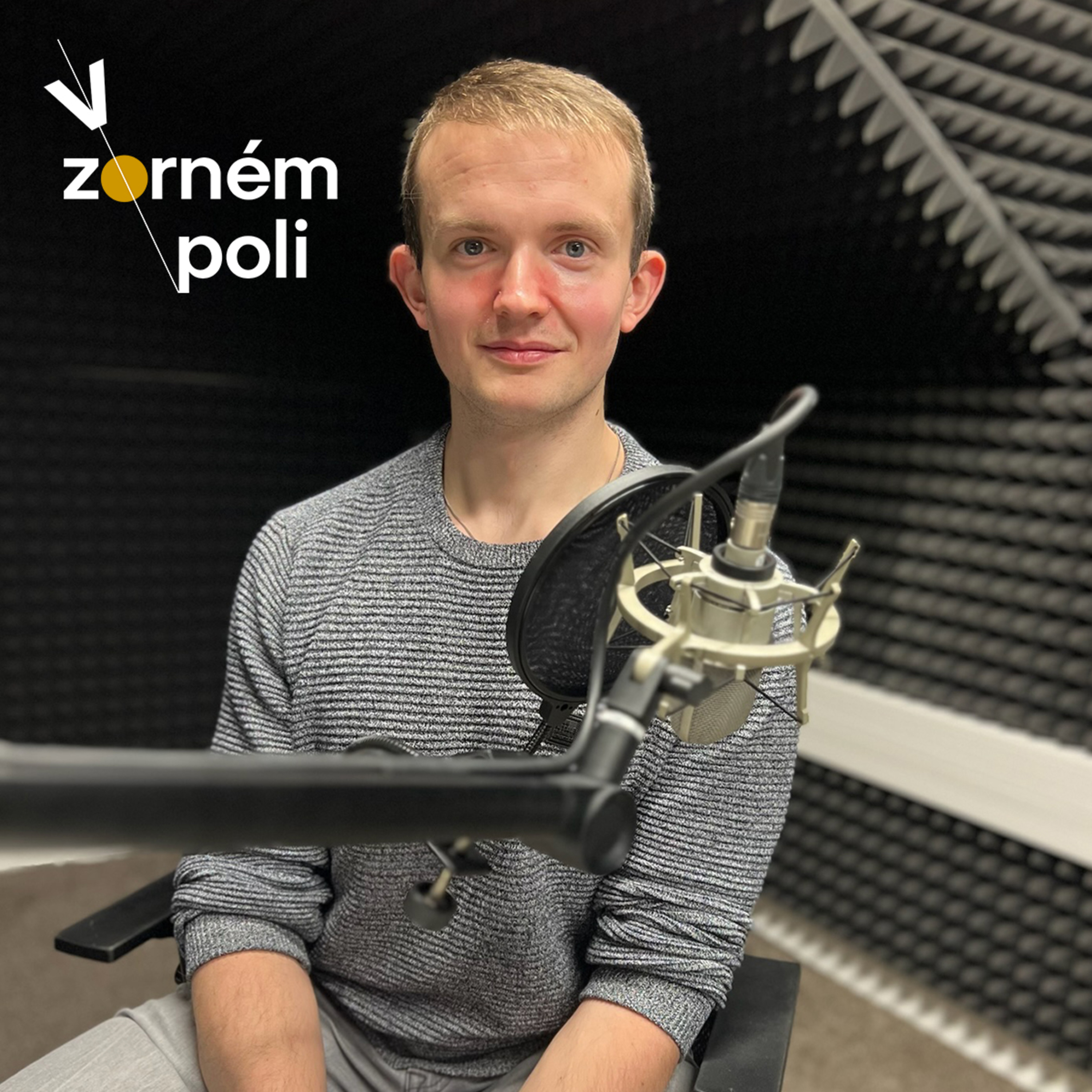 V zorném poli