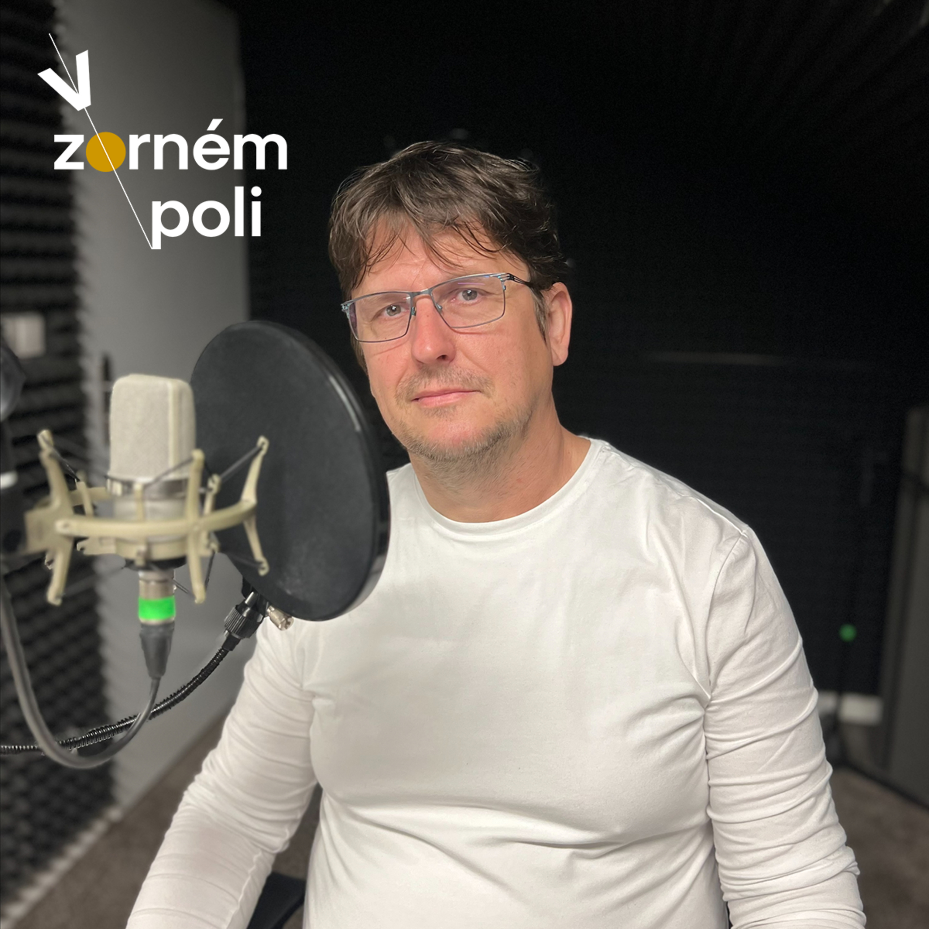 V zorném poli