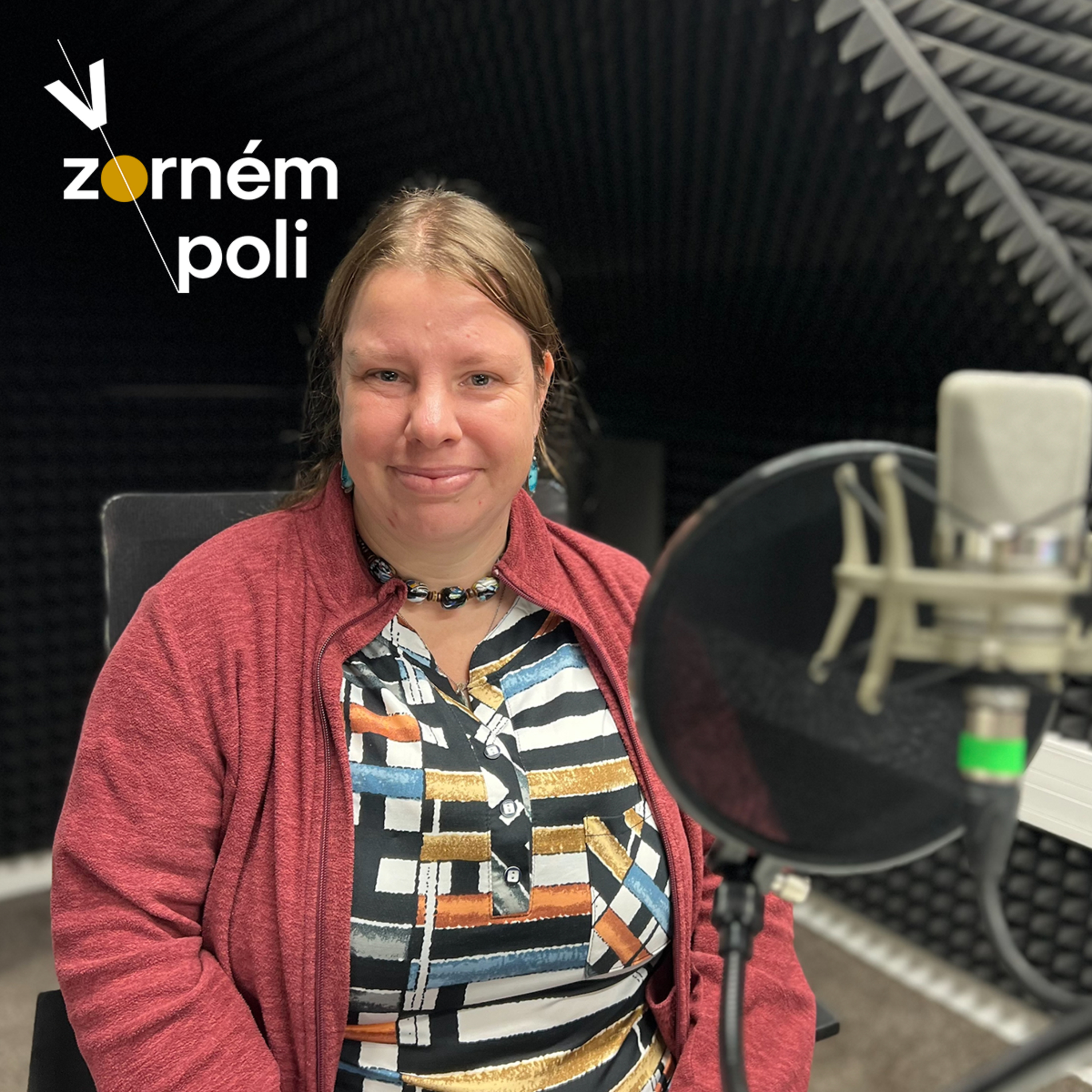 V zorném poli