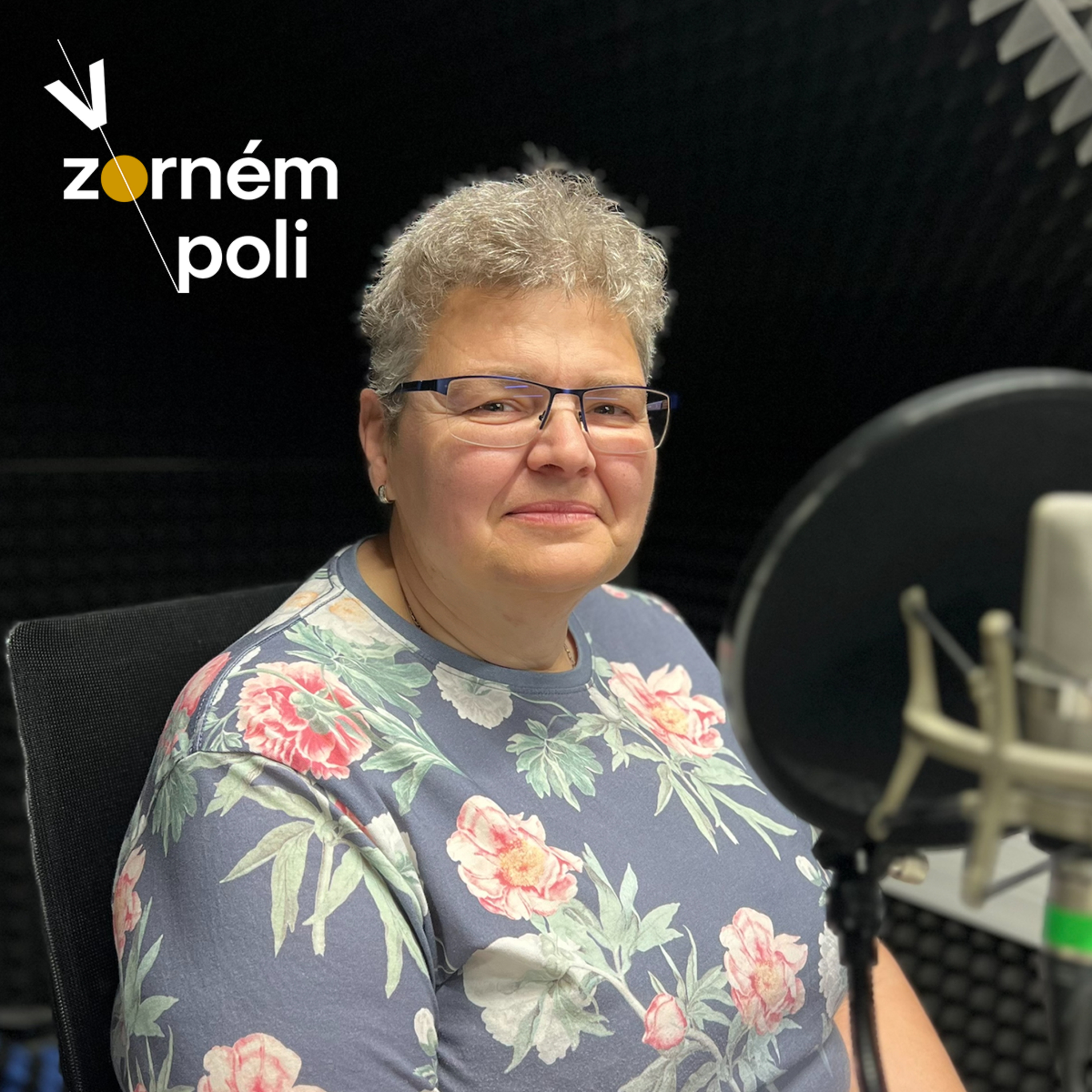 V zorném poli