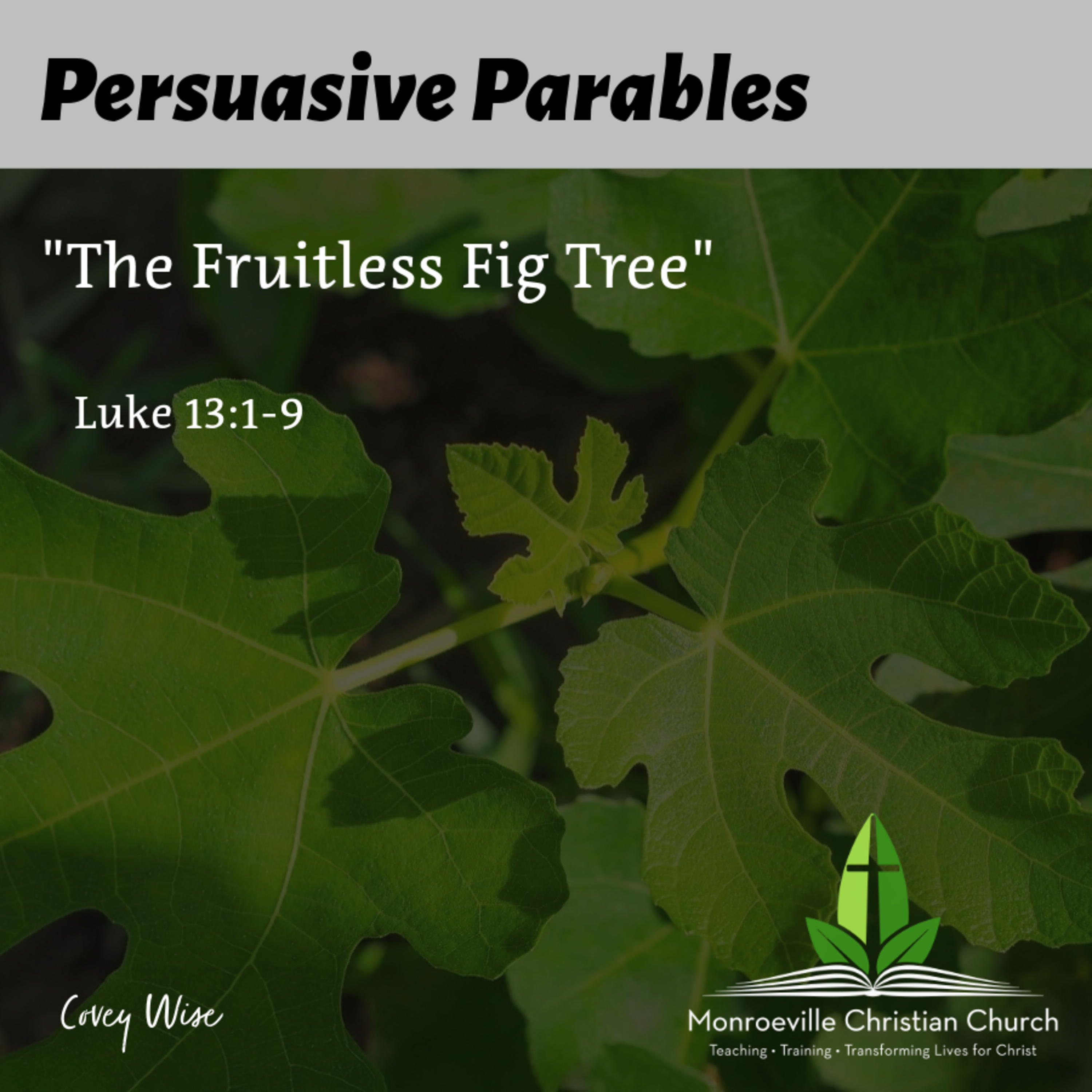 "The Fruitless Fig Tree" - Persuasive Parables Series - Luke 13:1-9 - Covey Wise 5-18-25 episode artwork