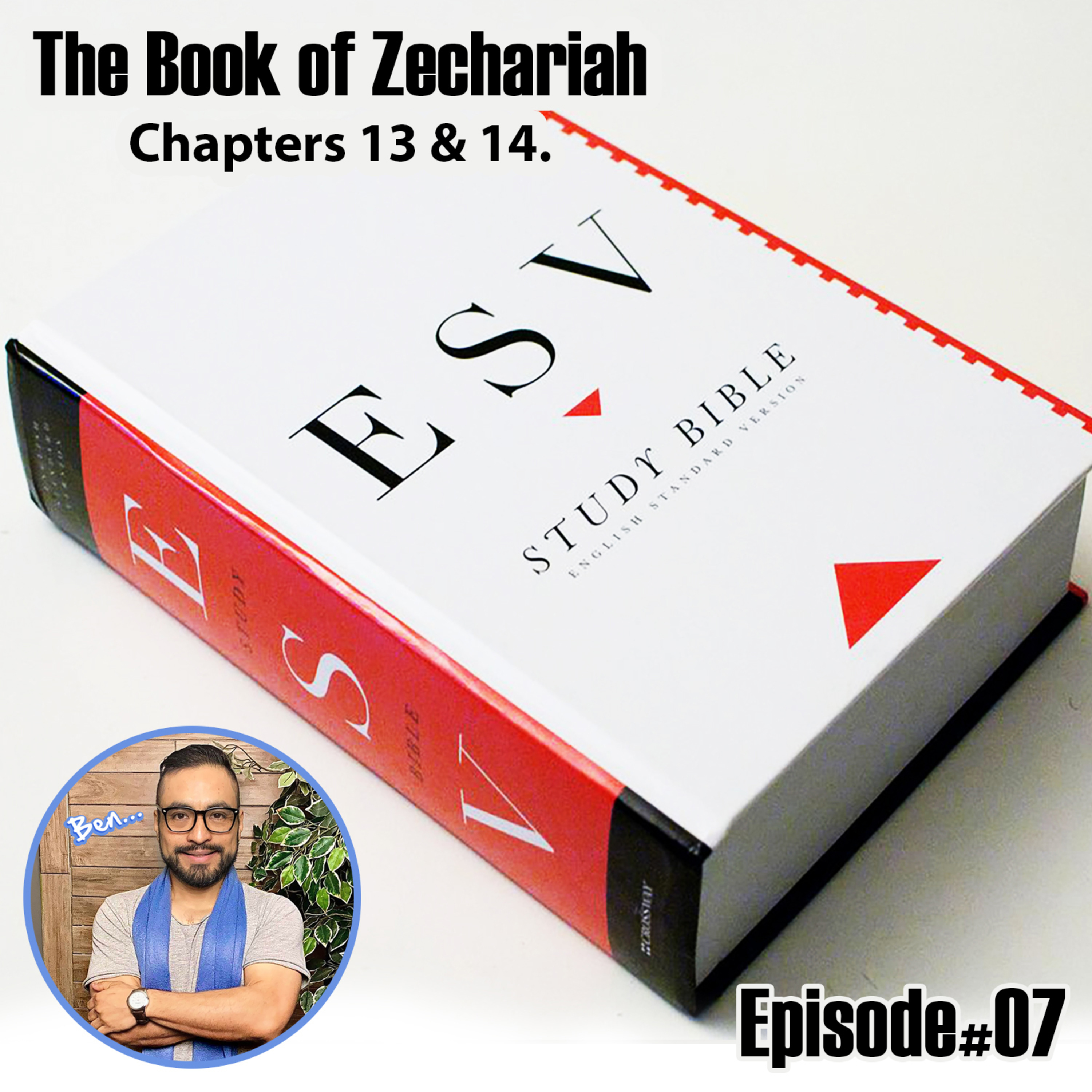 The Book of Zechariah 13 & 14 ESV Version. episode artwork