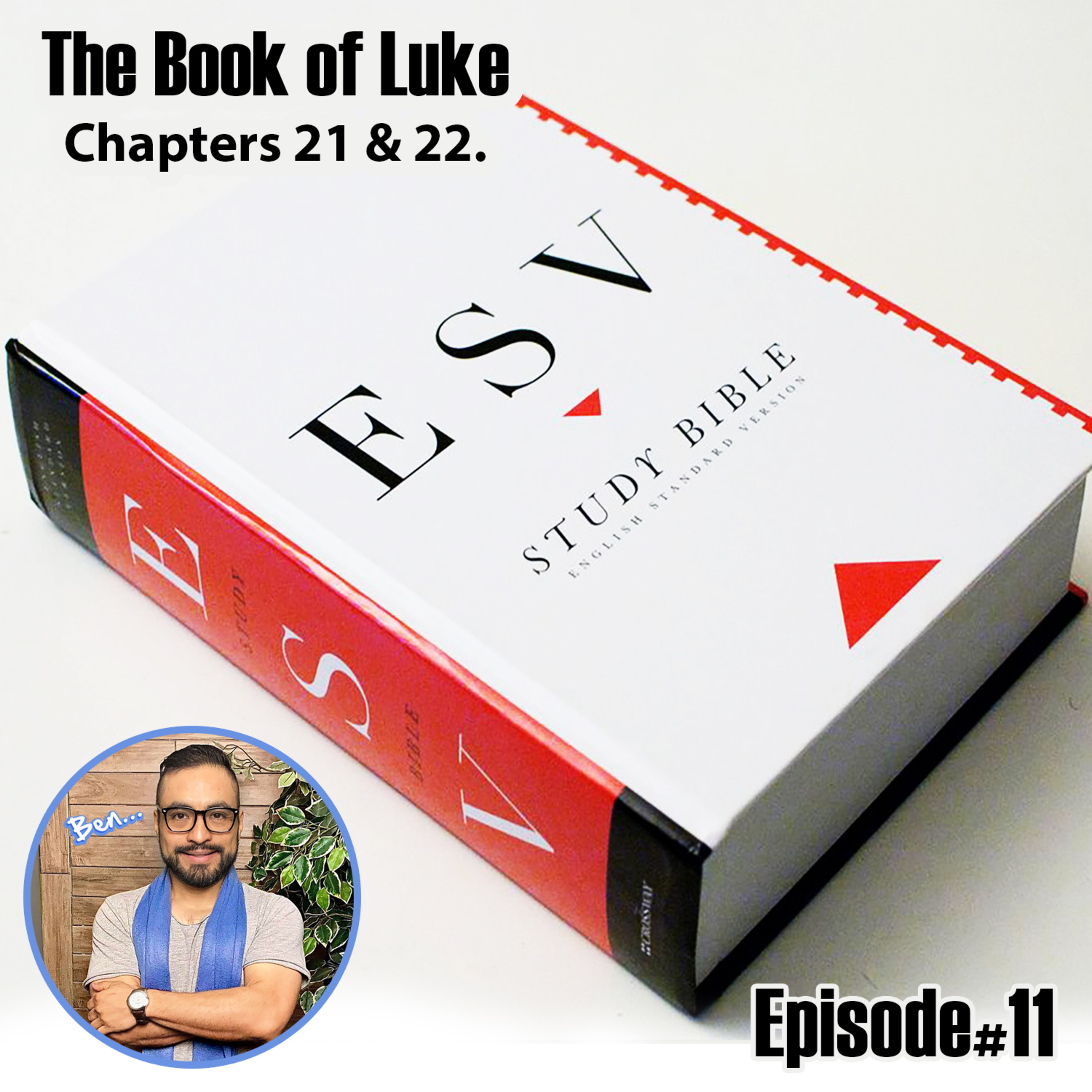 The Book of Luke 21 & 22 ESV Version. episode artwork