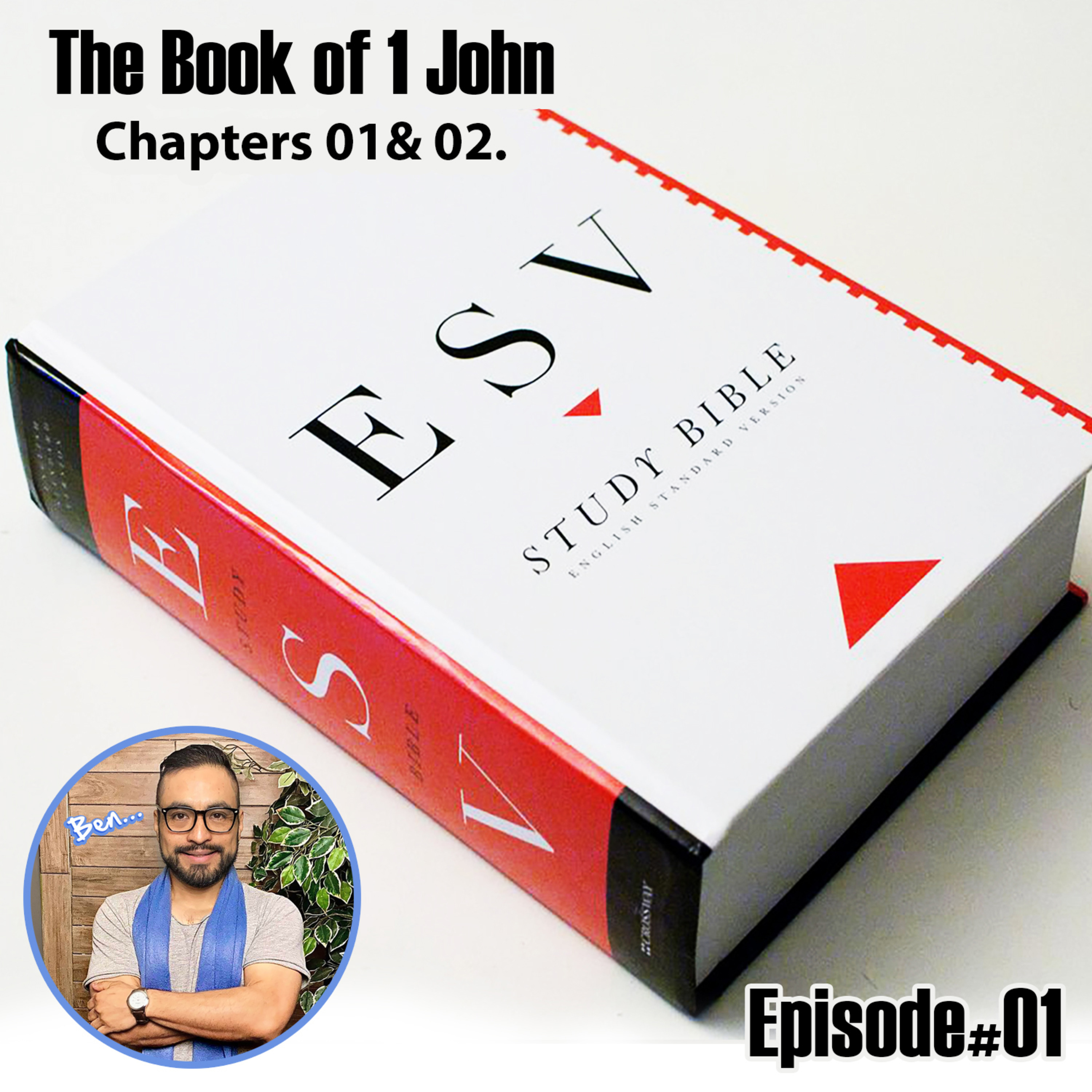 The Book of 1 John chapters 01 & 02 ESV Version. episode artwork