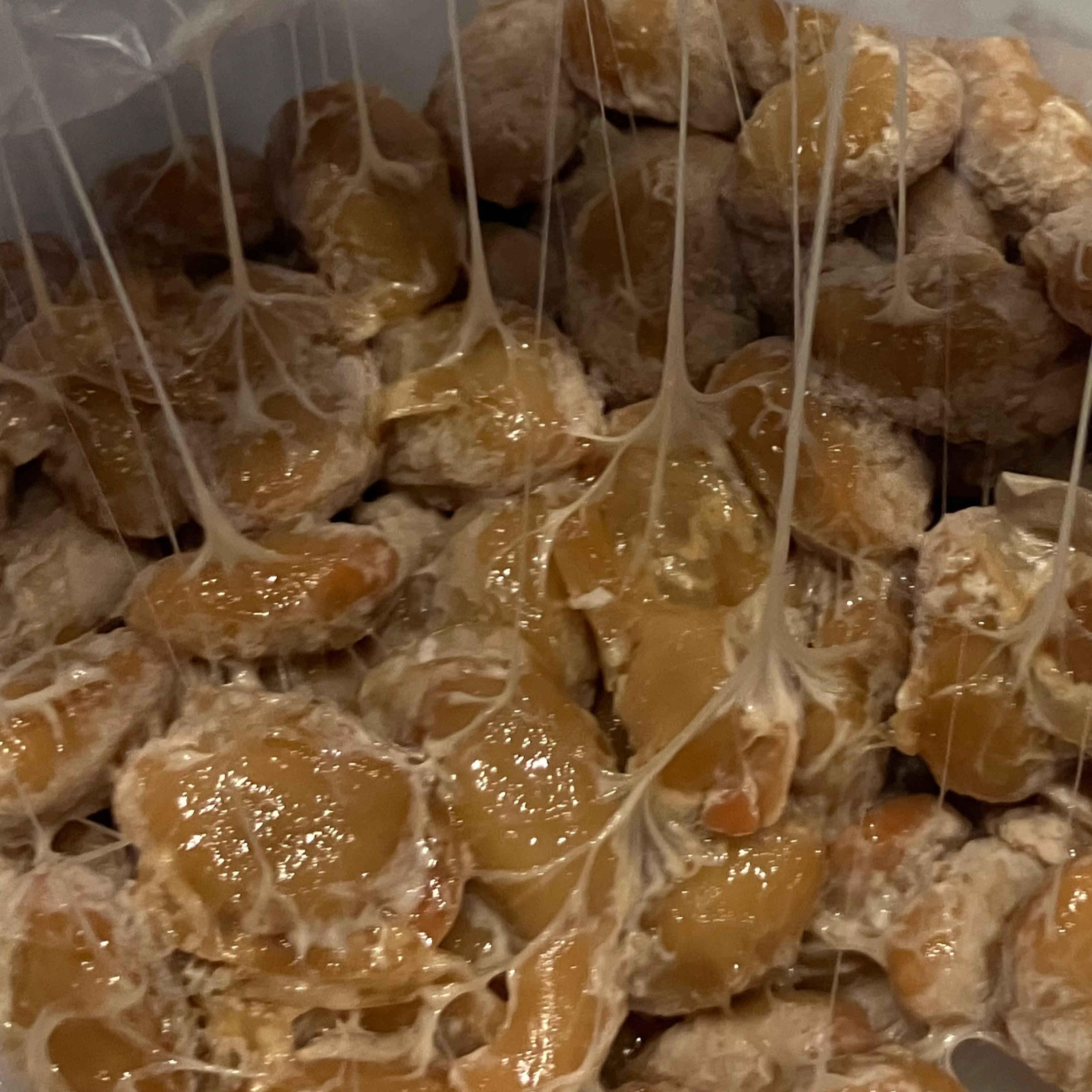 🇯🇵 納豆の健康効果|日本の発酵食品と腸活 🇬🇧 Natto Health Benefits | Japanese Fermented Food & Gut Health 🇻🇳 Lợi Ích Sức Khỏe Của Natto | Món Ăn Lên Men Nhật Bản