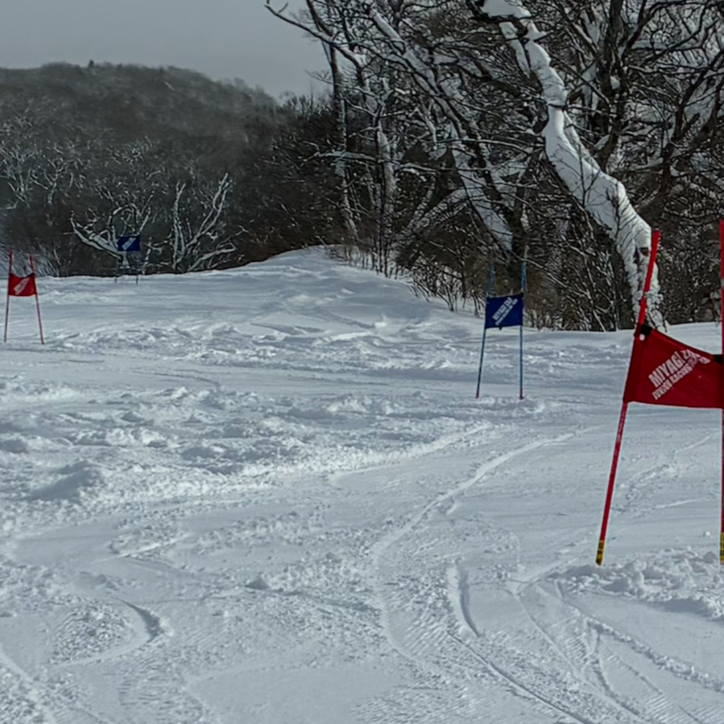 【40代からの再挑戦】SKI国体SL&蔵王トライアスロンに挑戦宣言! |Why I Decided to Compete Again at 44 | A Japanese Amateur Athlete’s Story