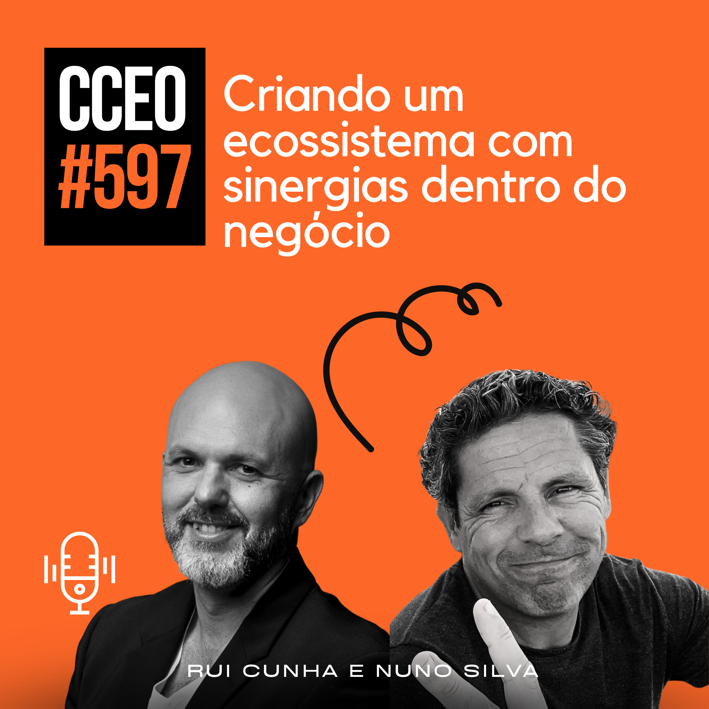 EP.597 - Criando um ecossistema com sinergias dentro do negócio episode artwork