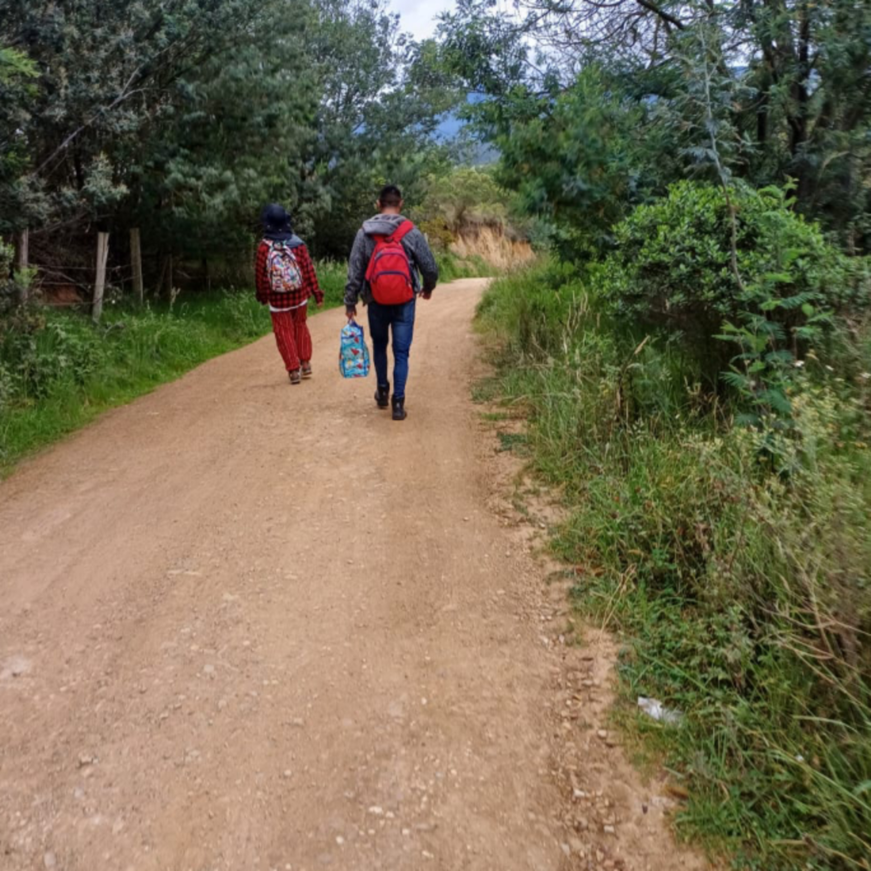 José Iván Cardona Gómez