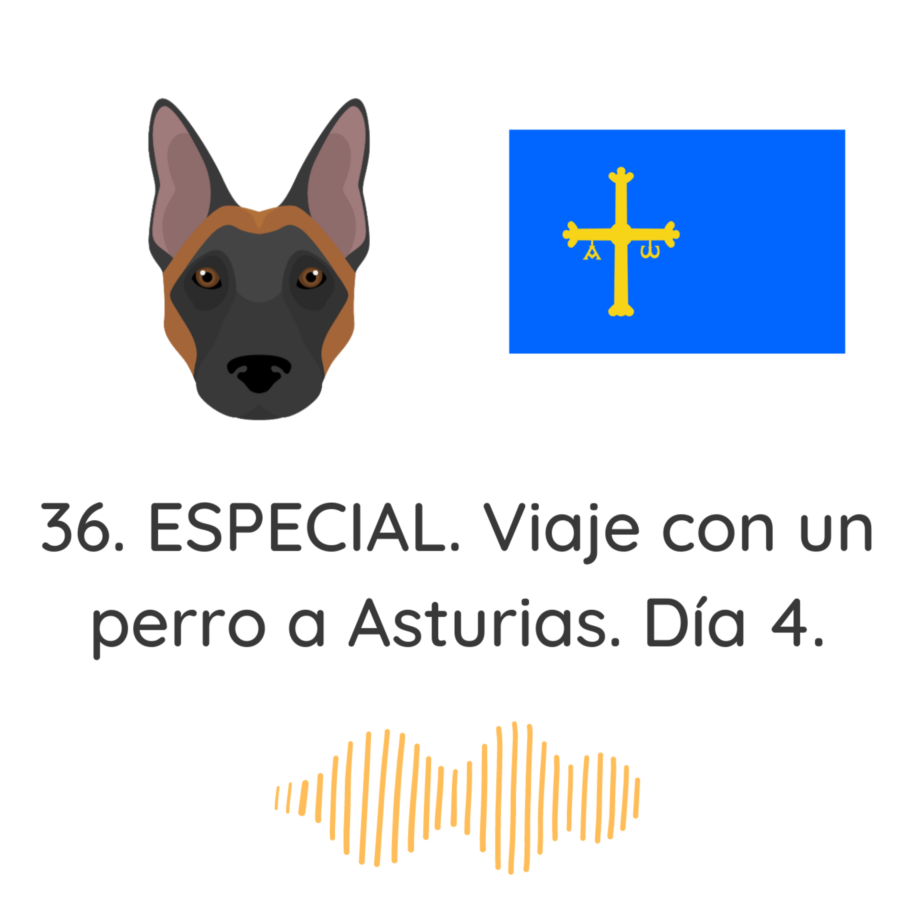 36. ESPECIAL. Viaje con un perro a Asturias. Día 4. episode artwork