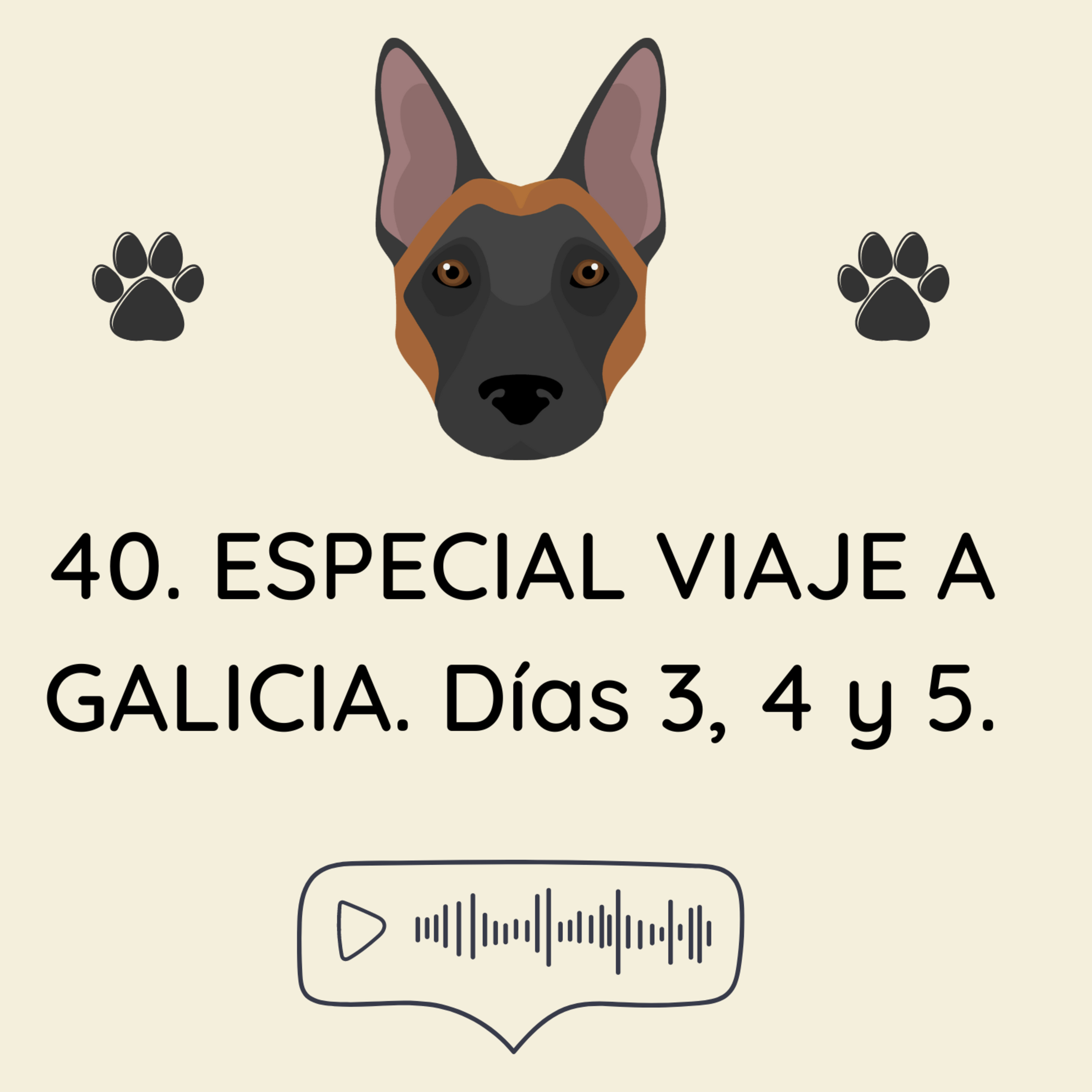 El Profe Malinois | Adiestramiento canino
