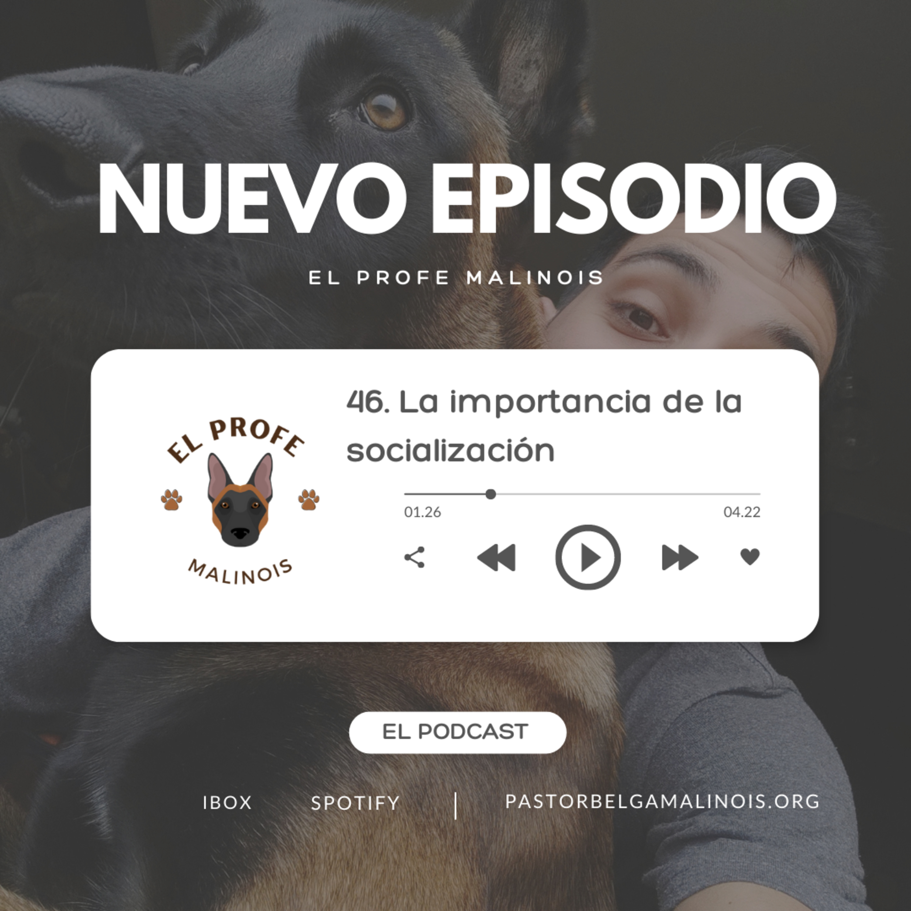 46. La importancia de la socialización: Cómo introducir a tu perro al mundo episode artwork