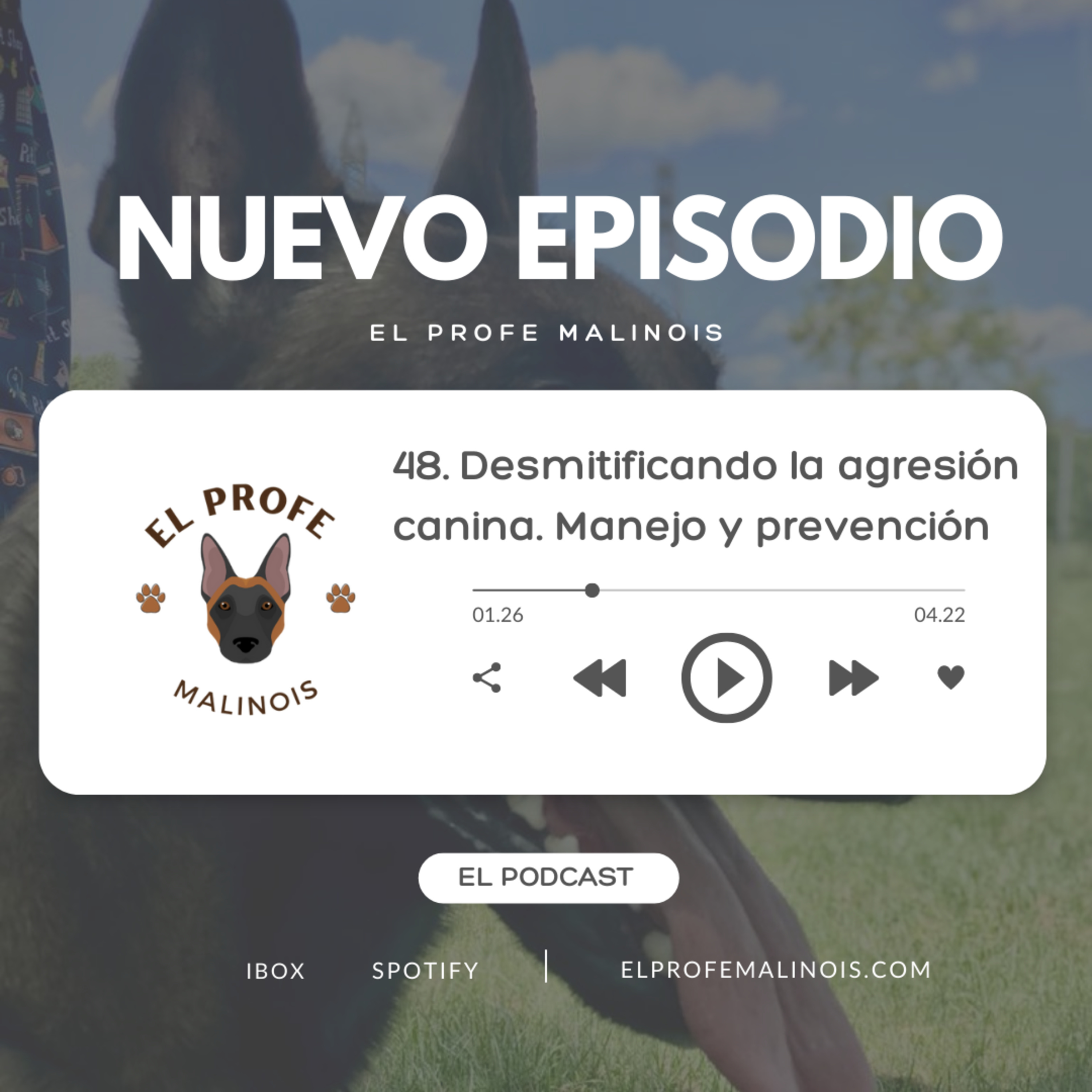 47. Desmitificando la agresión canina: Cómo manejarla y prevenirla. episode artwork