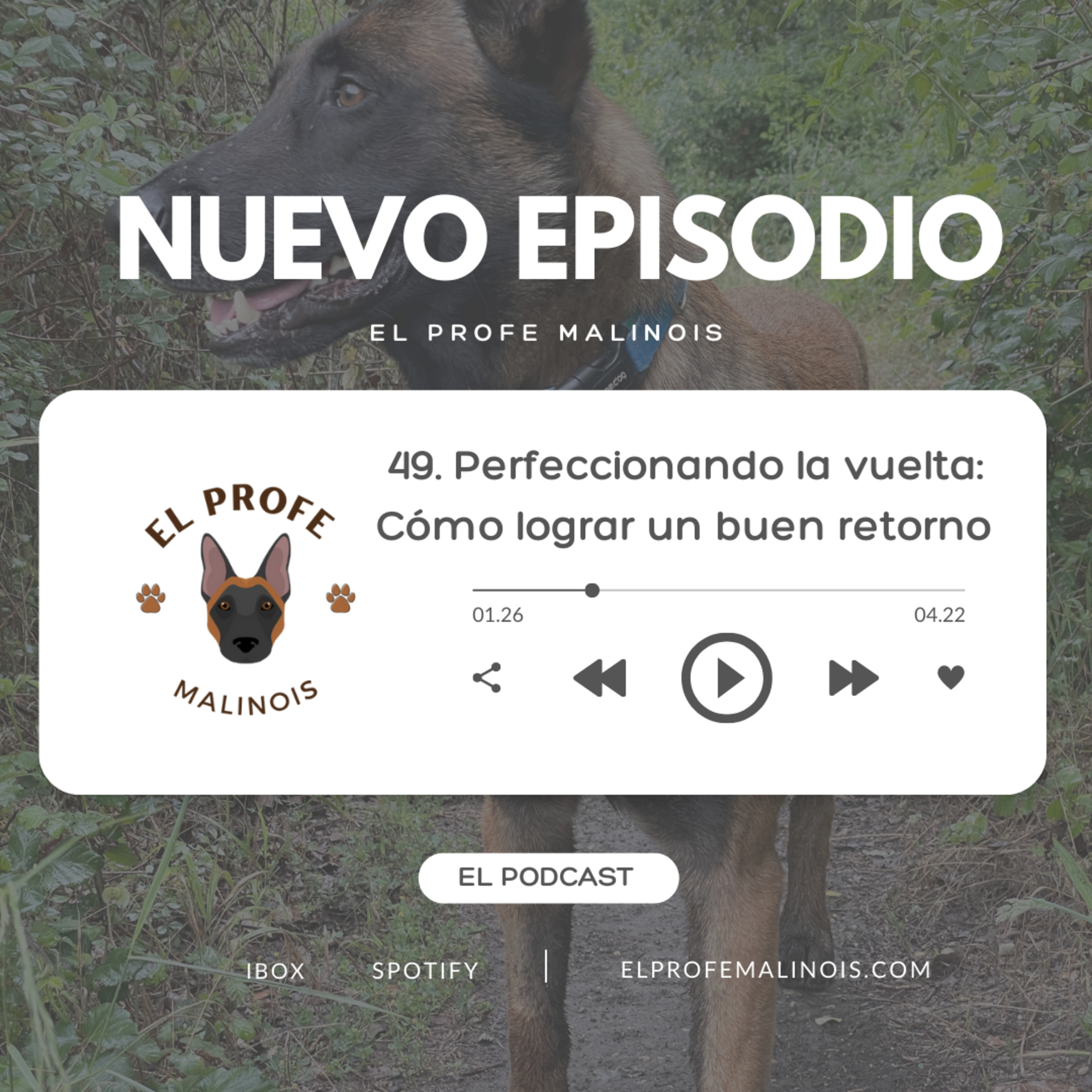 49. Perfeccionando la vuelta: Cómo lograr un retorno seguro y eficaz episode artwork