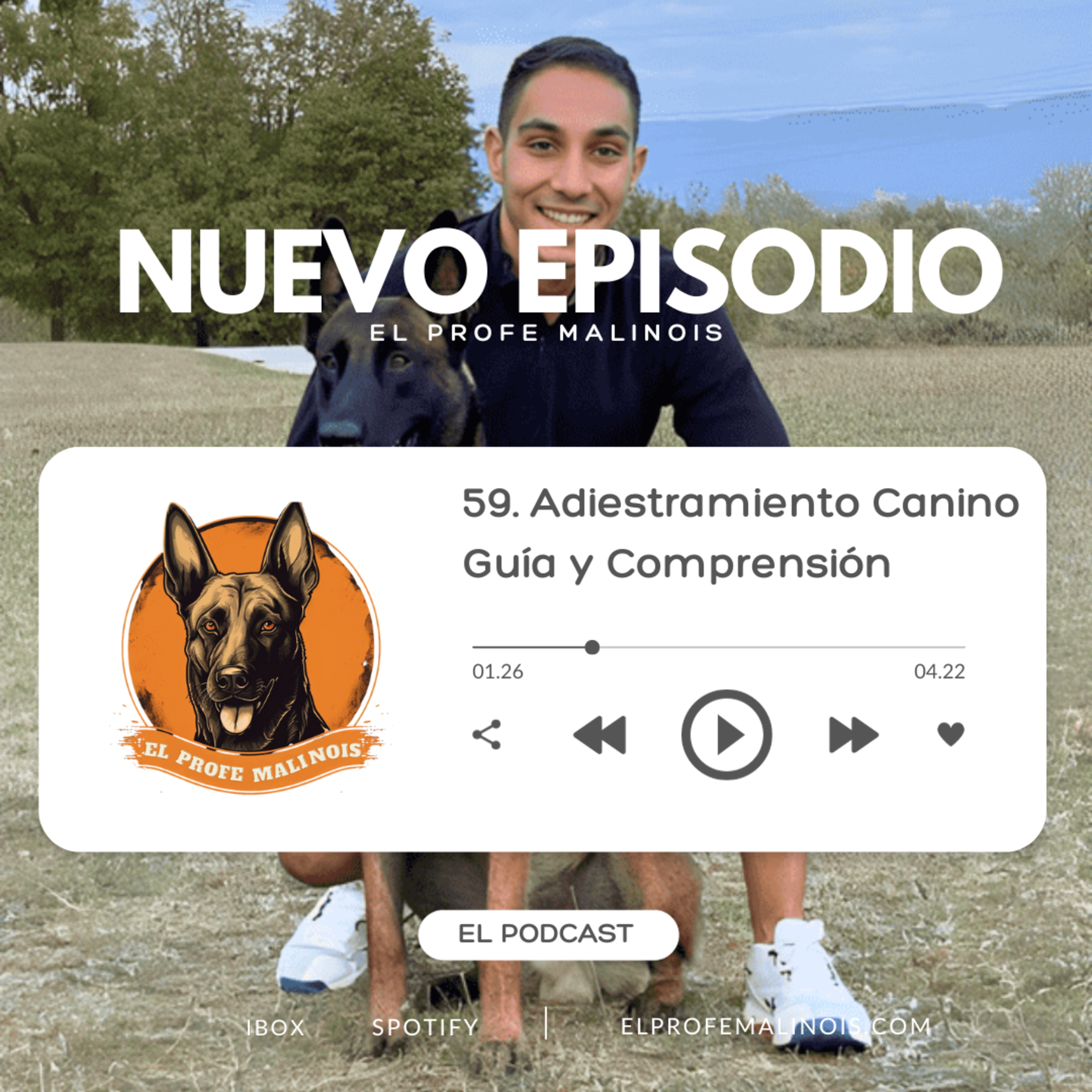 El Profe Malinois | Adiestramiento canino