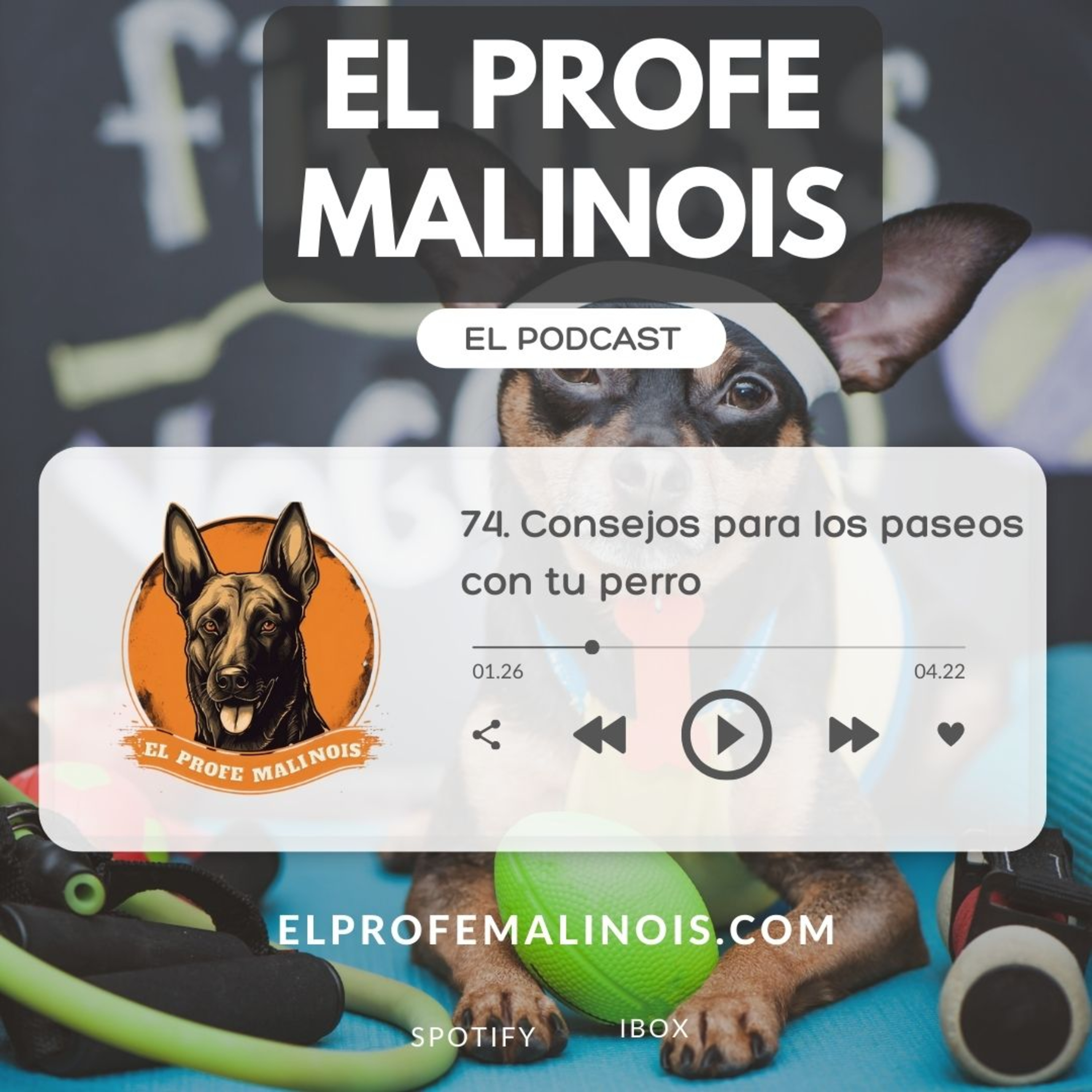 3.1 Si tu perro te gruñe ¿Por qué lo hace? episode artwork