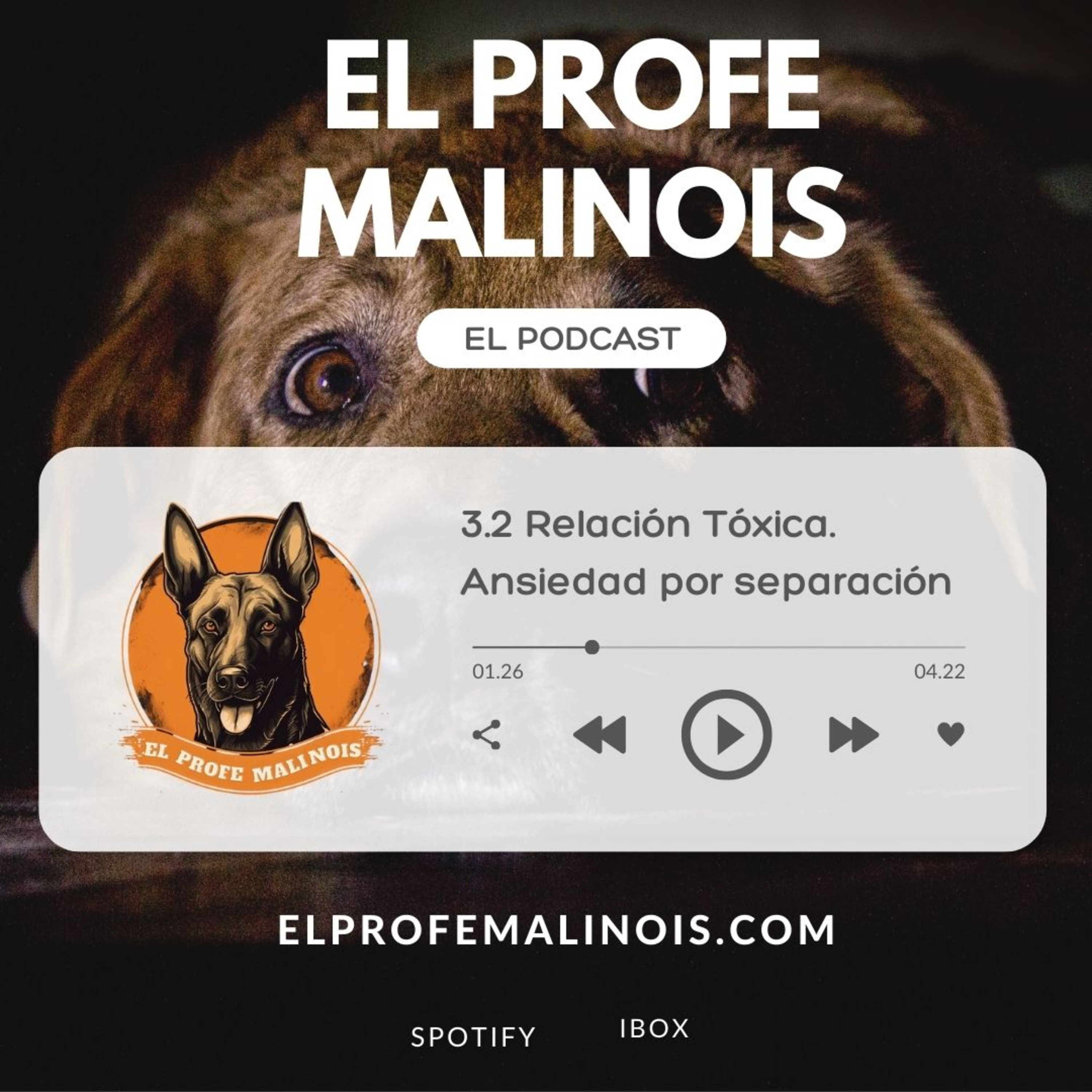 3.2 Relación Tóxica. Ansiedad por separación e hiperapego episode artwork