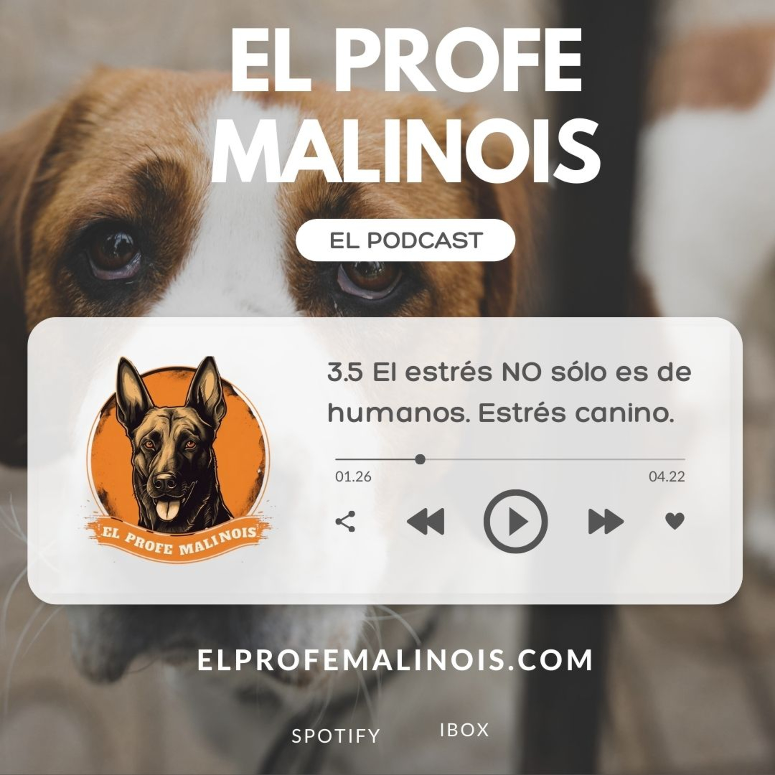 3.5 El estrés no sólo es cosa de humanos. Estrés canino. episode artwork