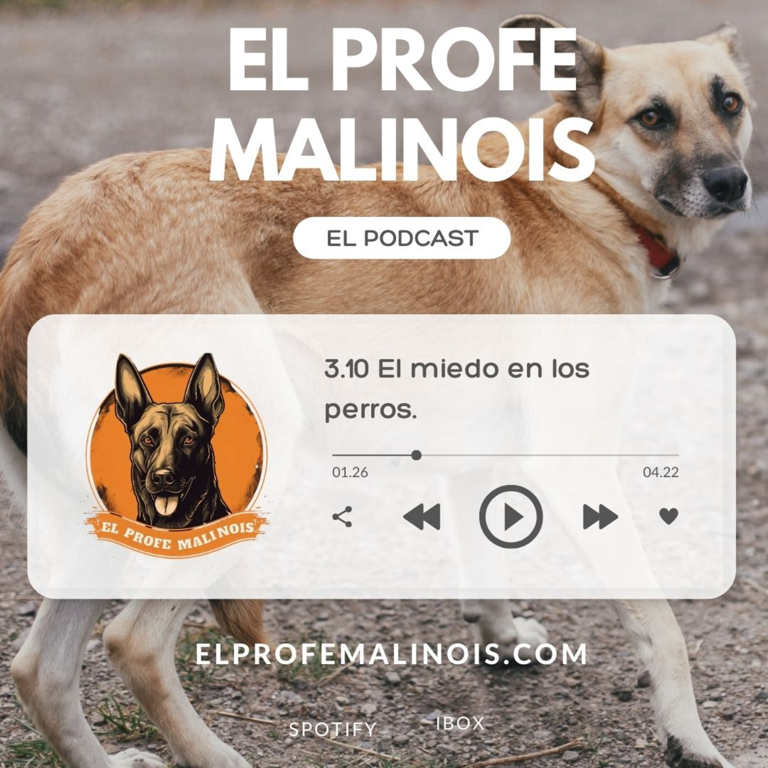 3.10 El miedo en los perros, por desgracia, muy de moda episode artwork