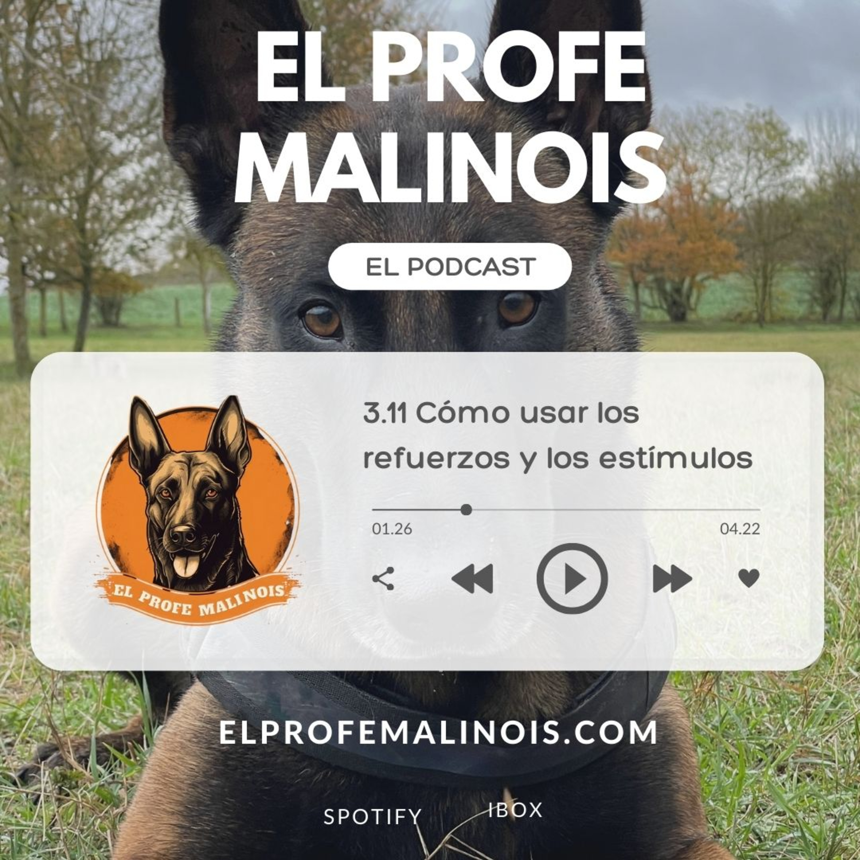 3.11 Cómo usar los refuerzos y los estímulos episode artwork