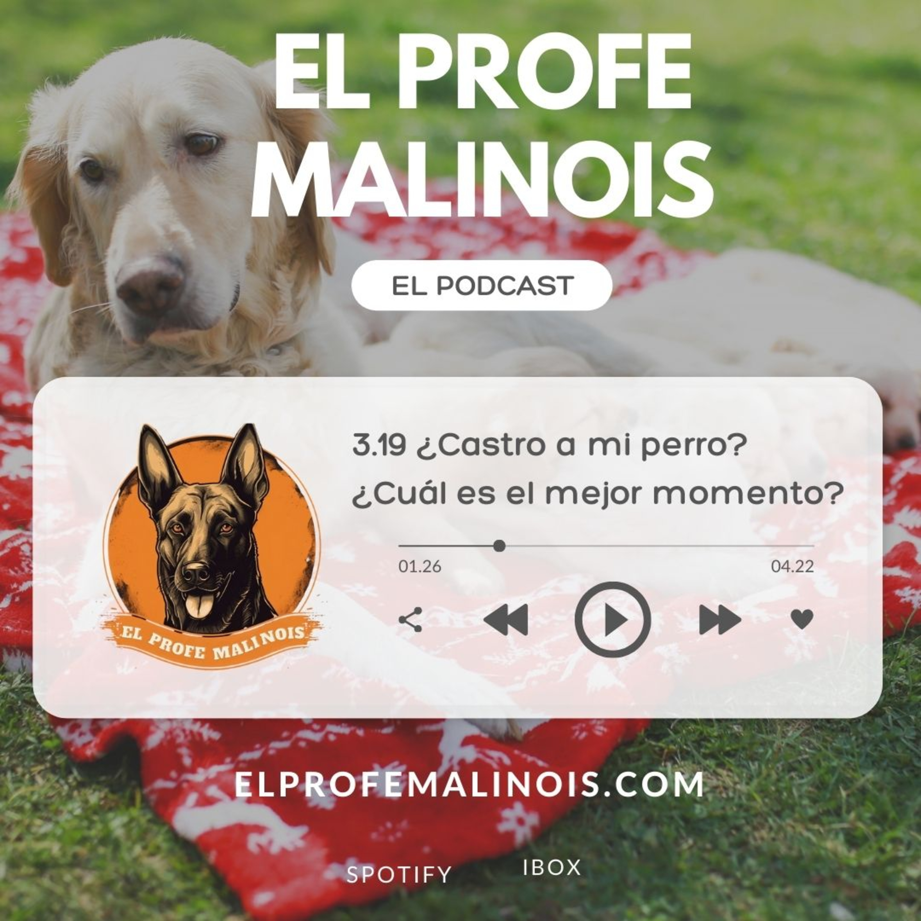 3.19 ¿Castro a mi perro? ¿Cuál es el mejor momento? episode artwork
