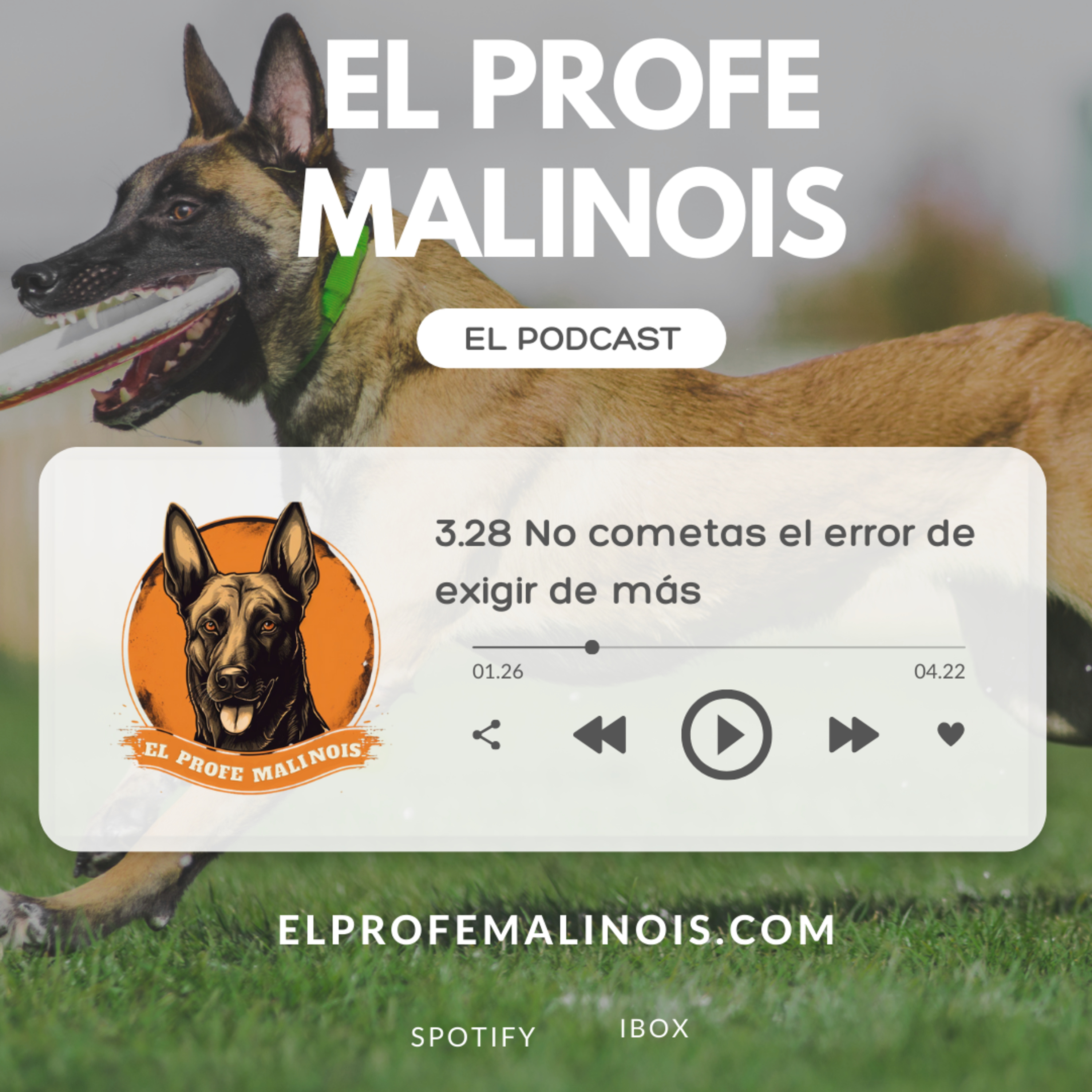 3.28 No cometas este error y respeta el ritmo de tu perro episode artwork