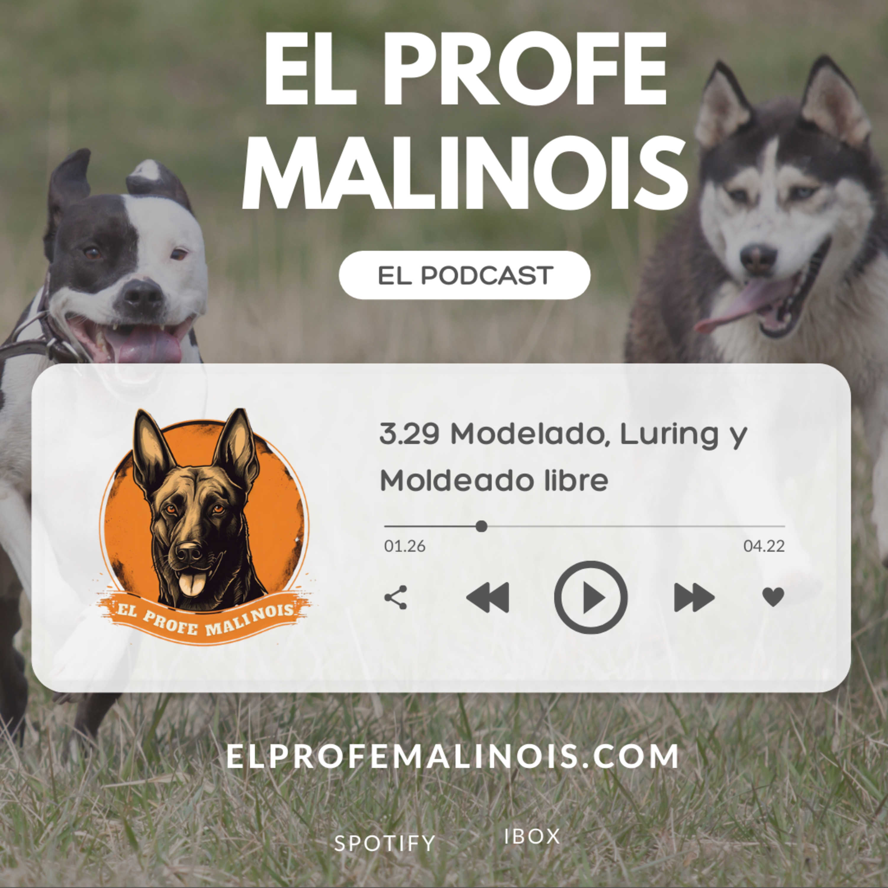 3.29 Paso a paso: Modelado, Luring y Moldeado Libre en el Adiestramiento Canino episode artwork