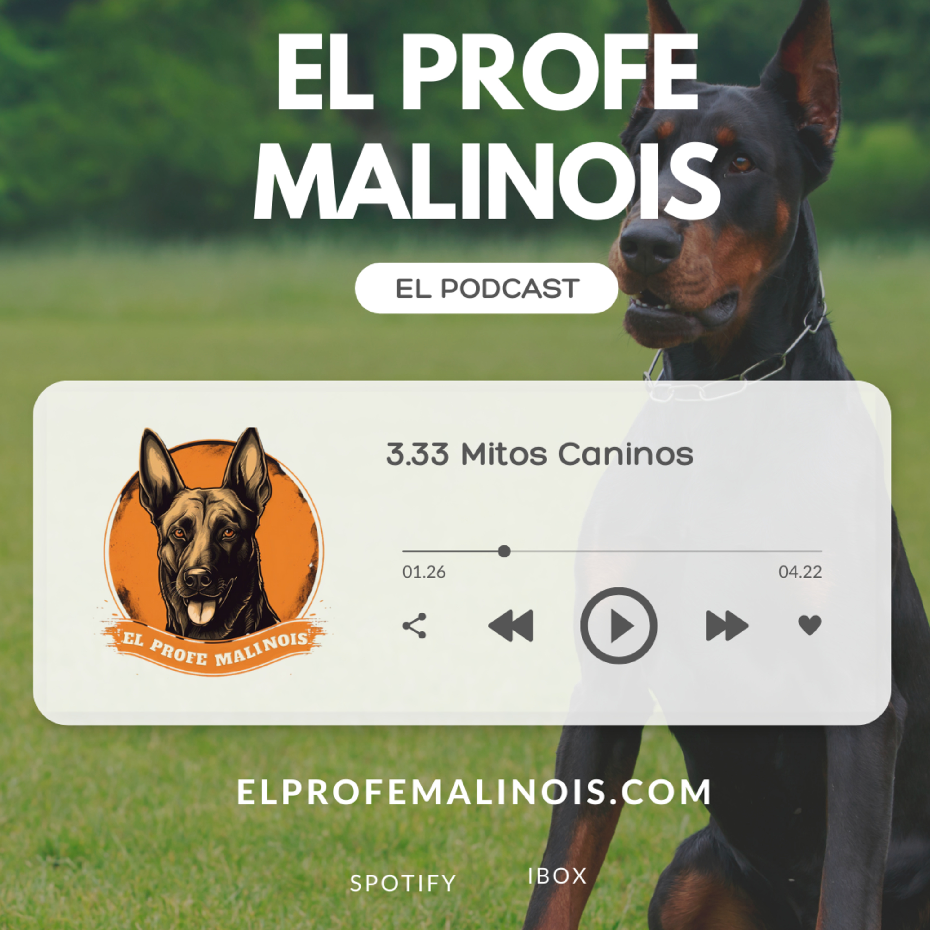 3.33 Seguro que esto lo has oído alguna vez | Mitos sobre tu perro episode artwork