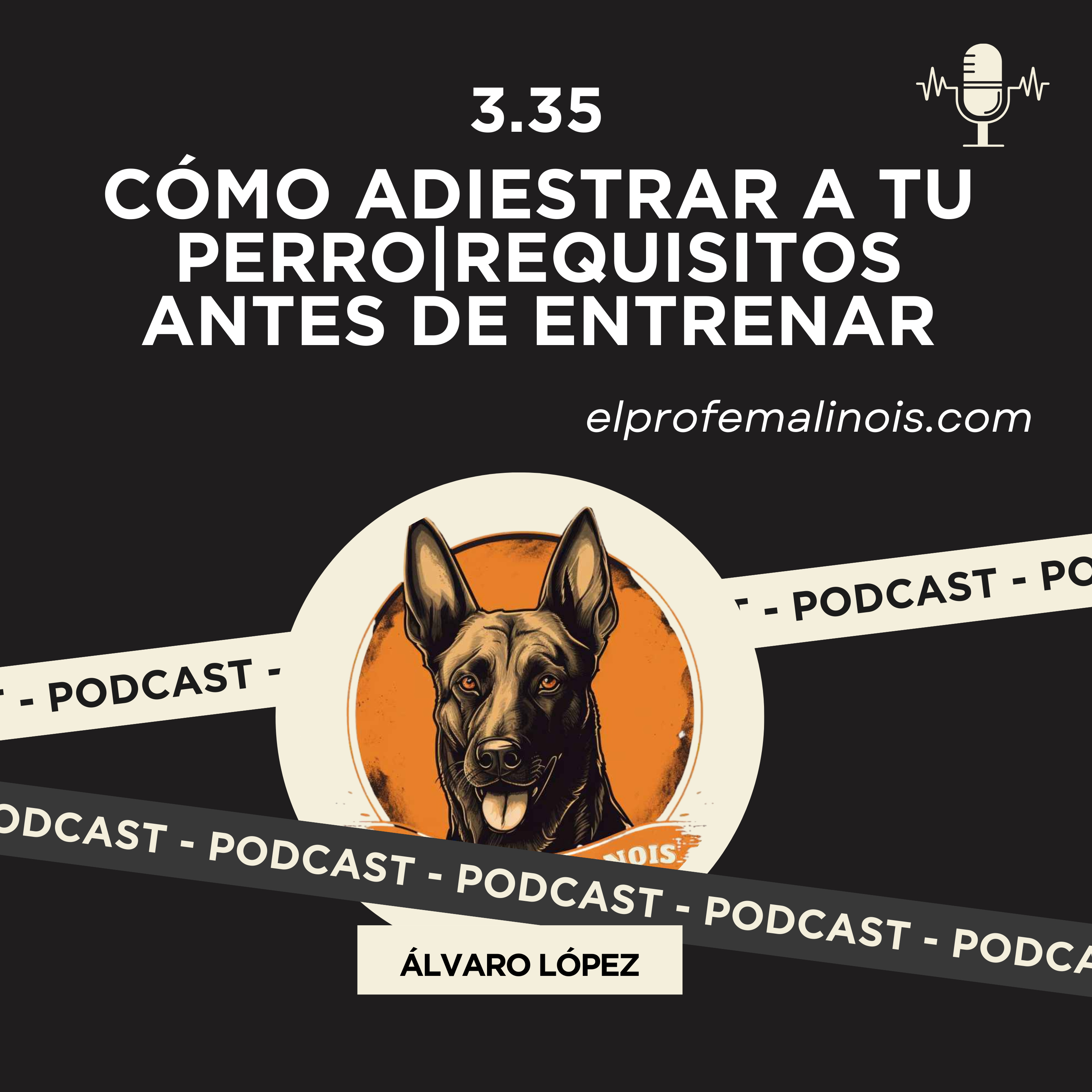  3.35 Cómo Adiestrar a tu Perro|Requisitos antes de entrenar episode artwork