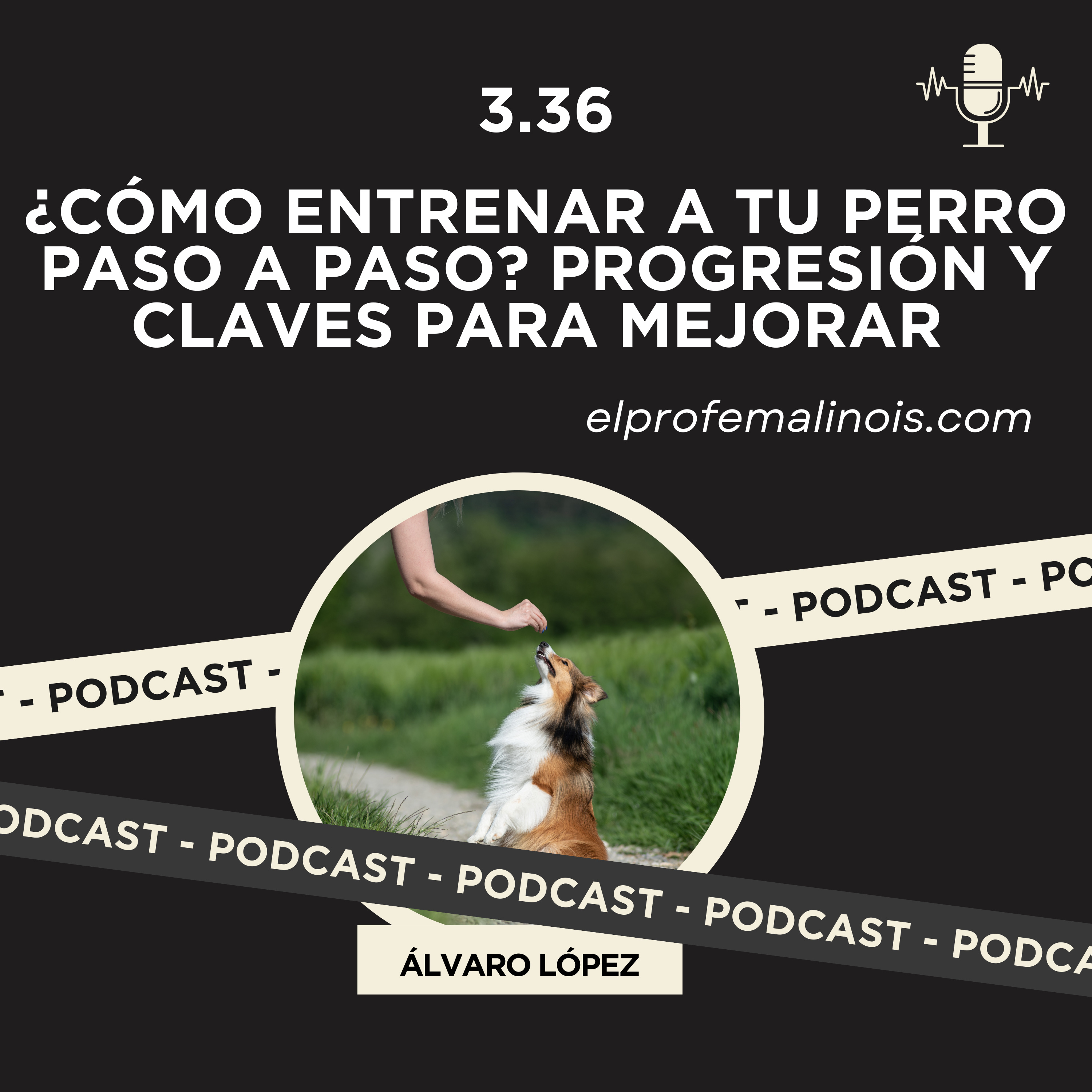 3.36 ¿Cómo ENTRENAR a tu Perro paso a paso? Progresión y claves para mejorar 🐕📈 episode artwork