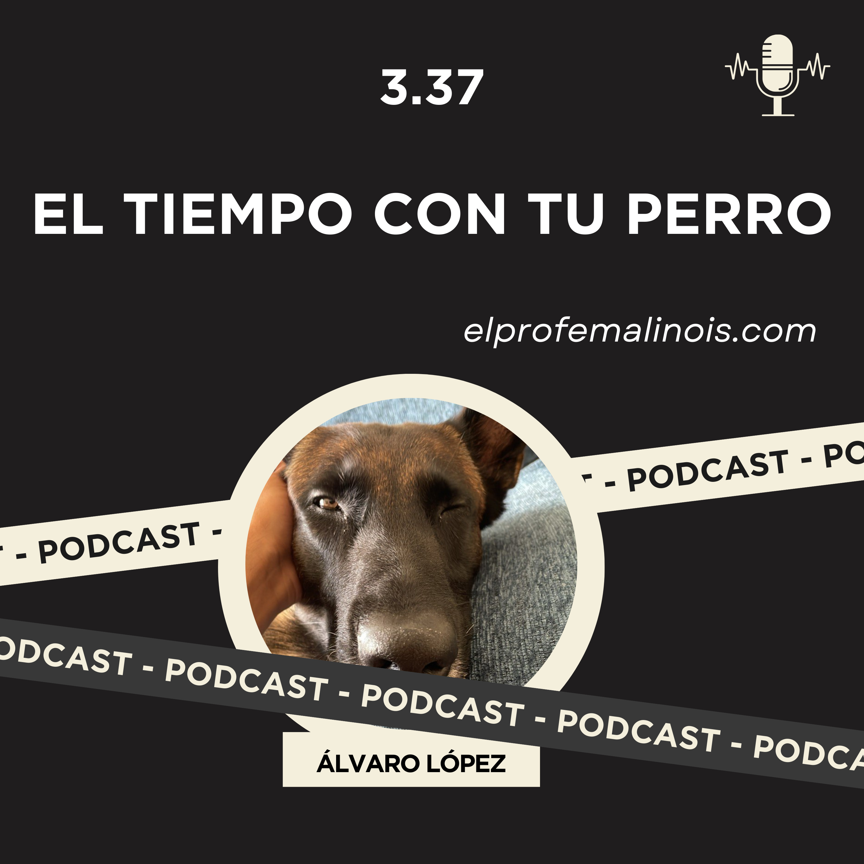 3.37¿Tienes suficiente tiempo para tu perro? La importancia del tiempo de calidad 🐕⏰ episode artwork