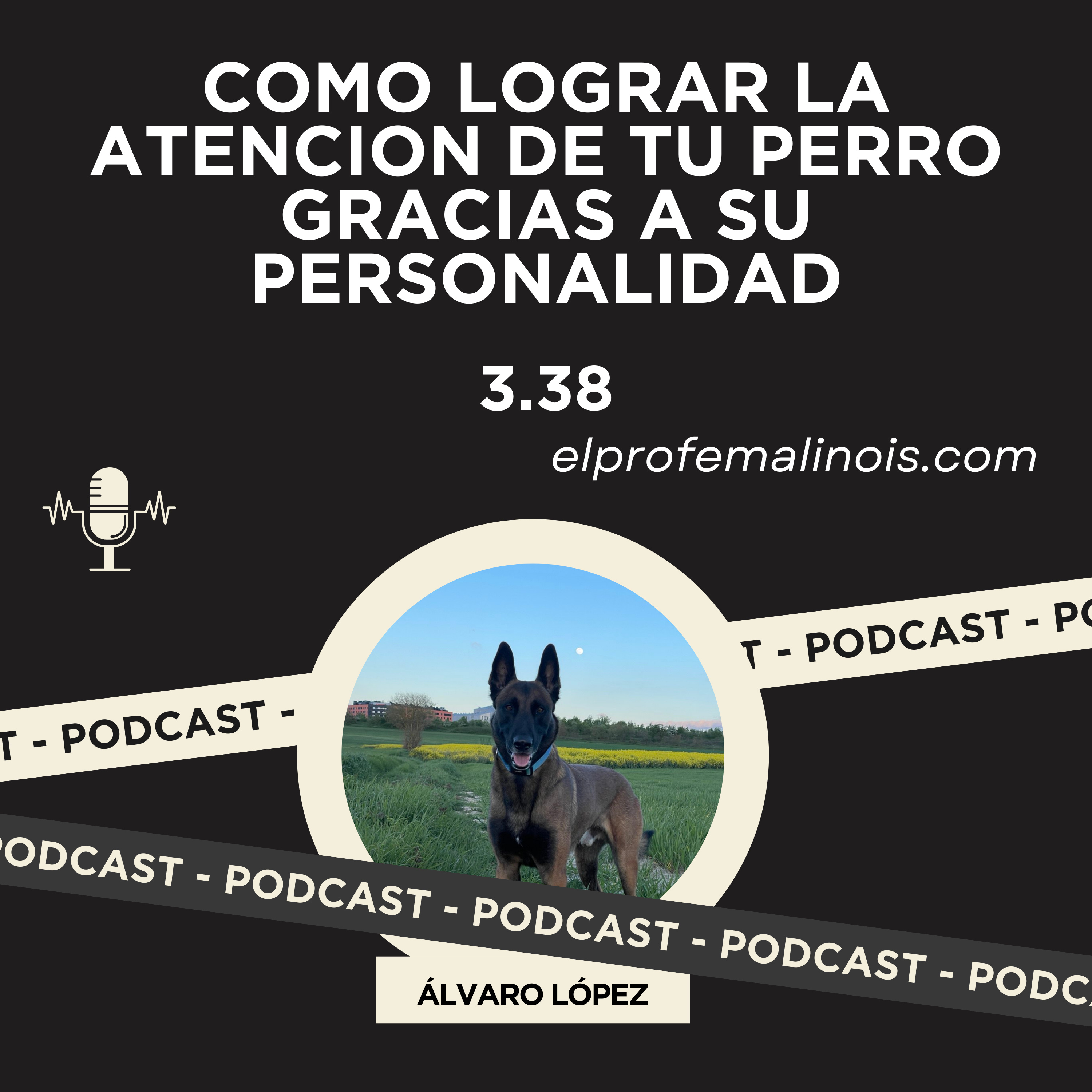3.38 Como Lograr la Atención de tu perro gracias a su Personalidad episode artwork