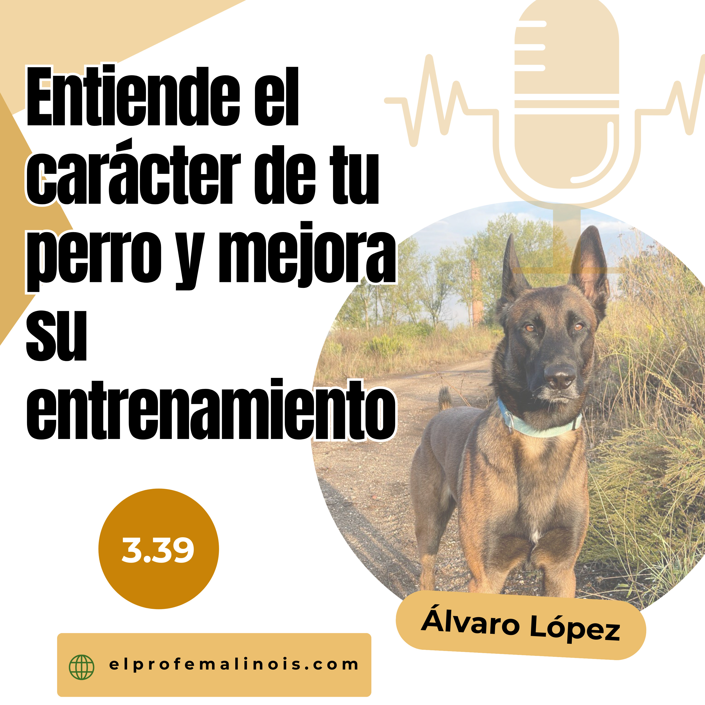 3.39 Entiende el carácter de tu perro y mejora su entrenamiento 🐕✨ episode artwork