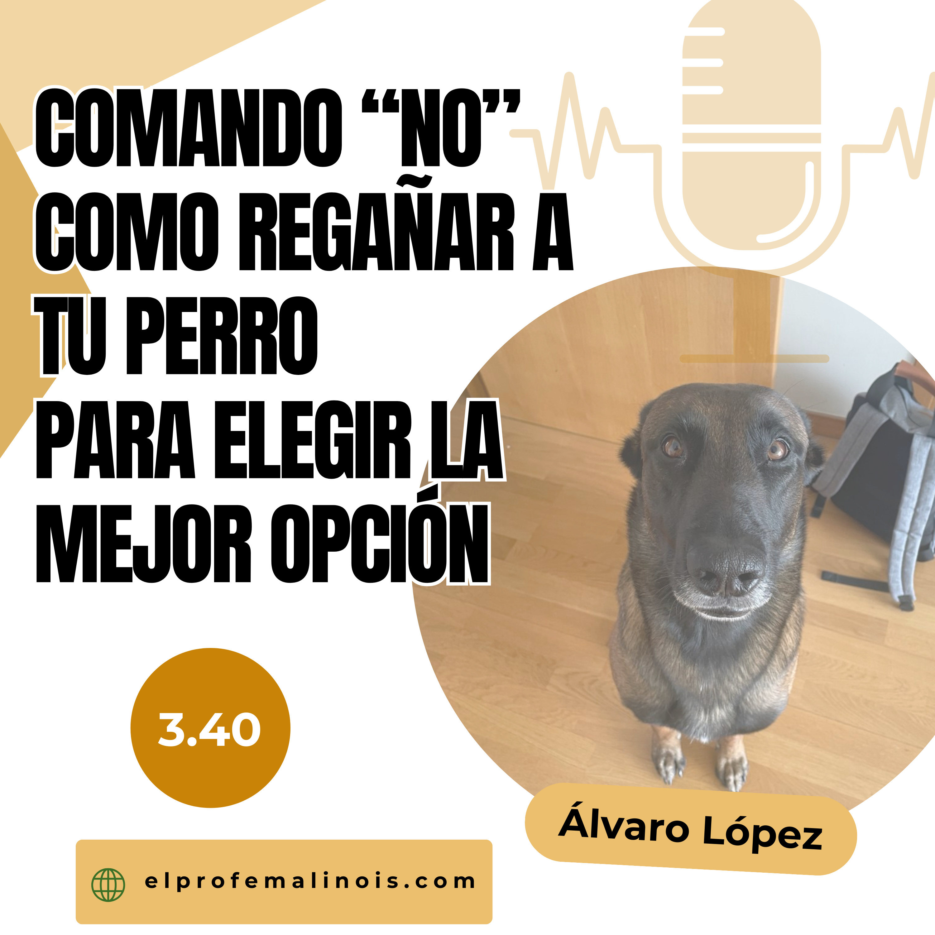 3.40 El Secreto del NO: Cómo regañar a tu perro para guiarle y corregirle episode artwork
